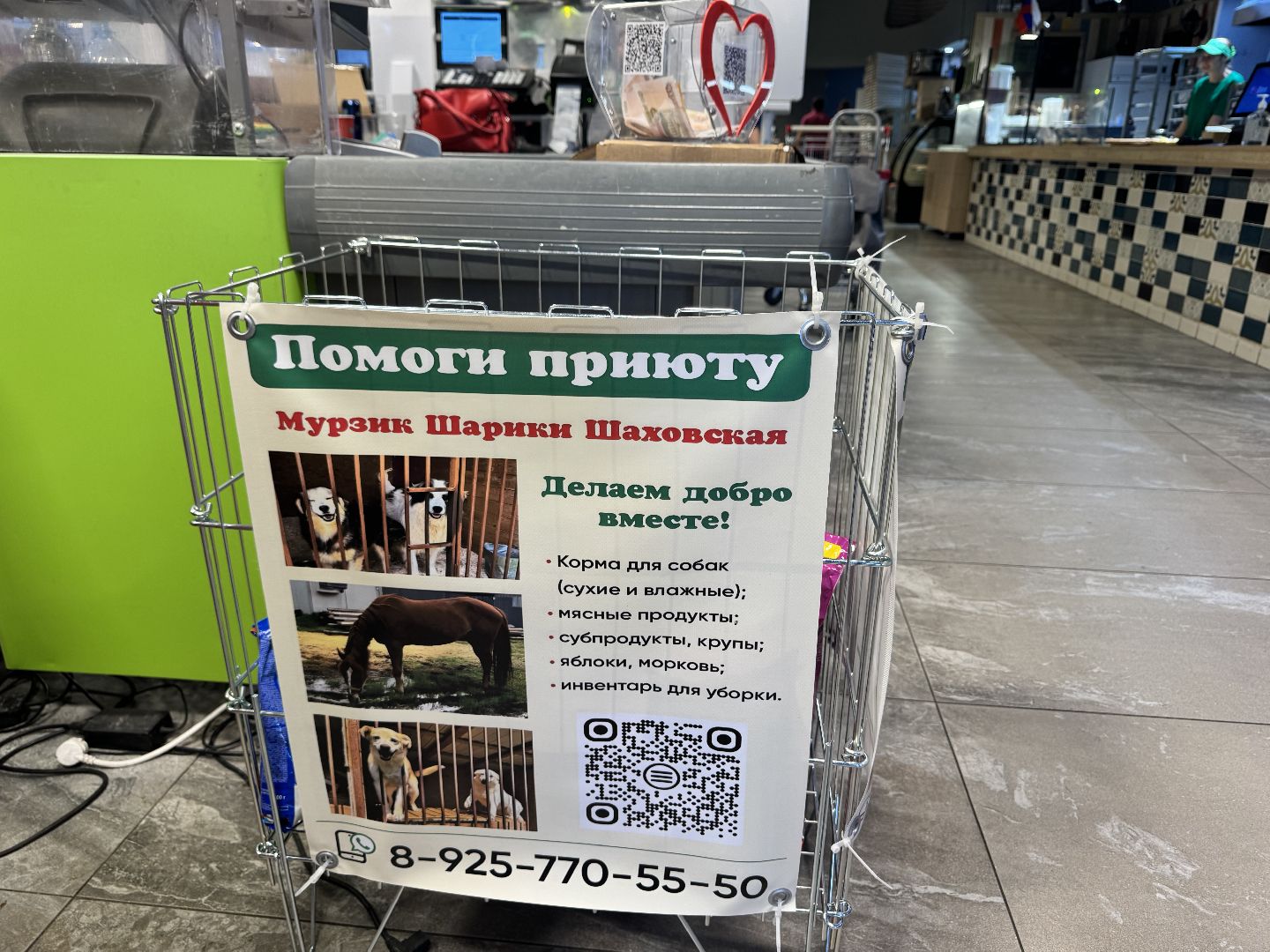 шаховская, приют бездомных животных, приют для бездомных животных, приют для животных, сбор помощи, акция,