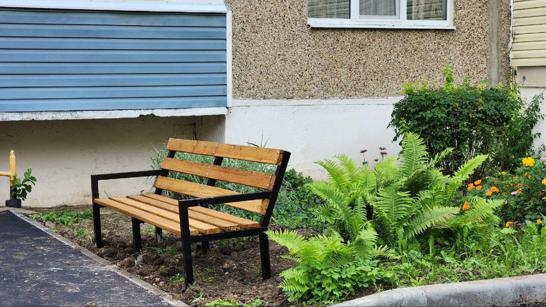 луховицы, орешково, комплексное благоустройство двора,