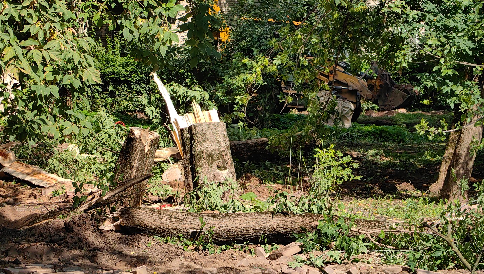 сквер, тротуар, урна, лавочка, камера видеонаблюдения,