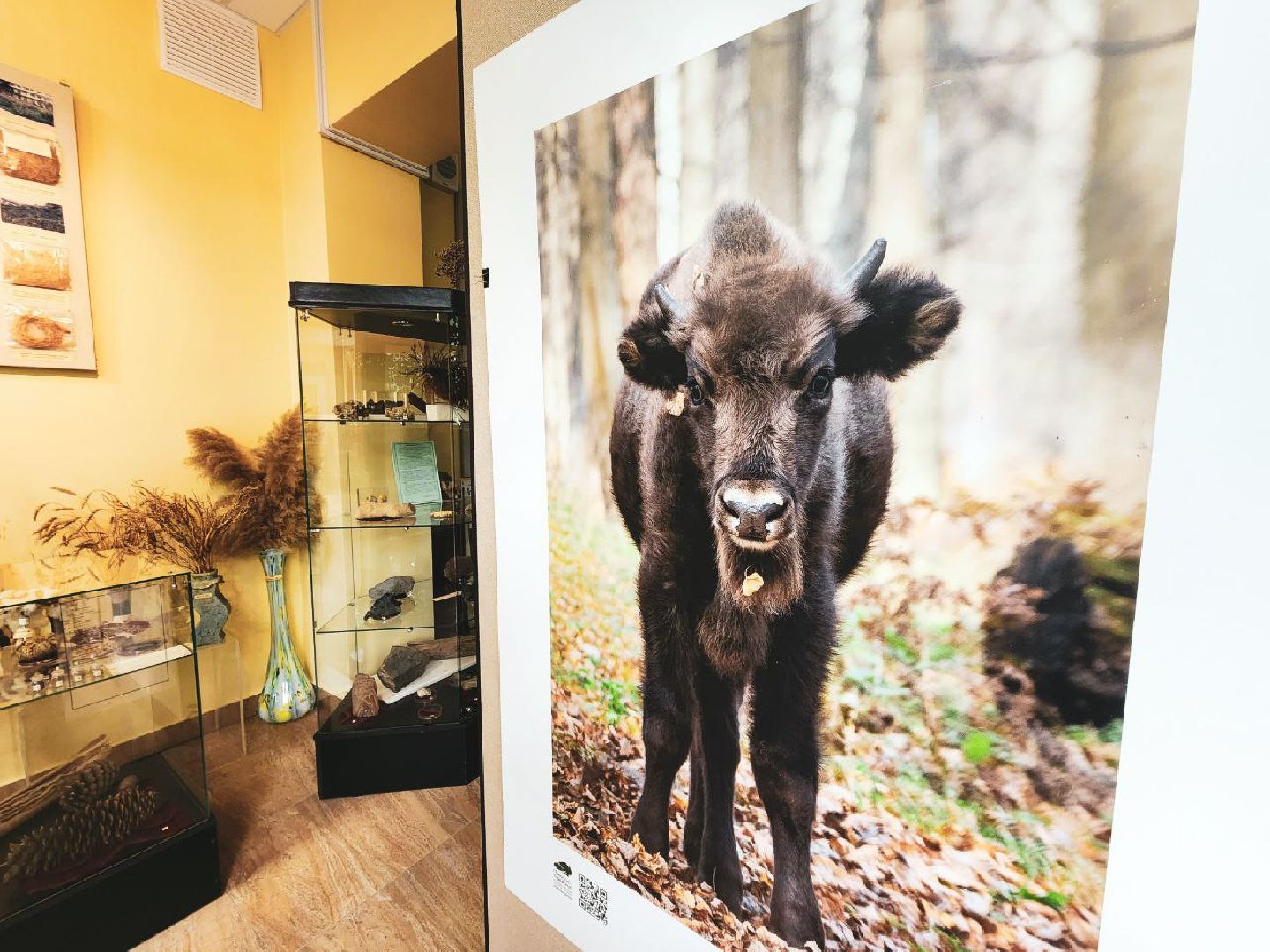 Пущино, серпухов, культура, экология,