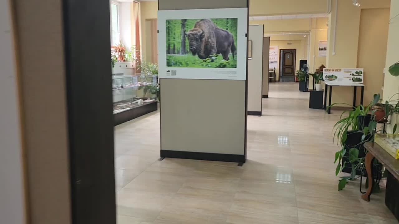 /mediabank_mount//78979/871d9667b40691267cfb8f55075e57a6.jpg