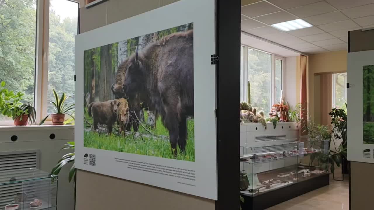 /mediabank_mount//78979/b44d76f8c94a1630a4e20797db322e1b.jpg