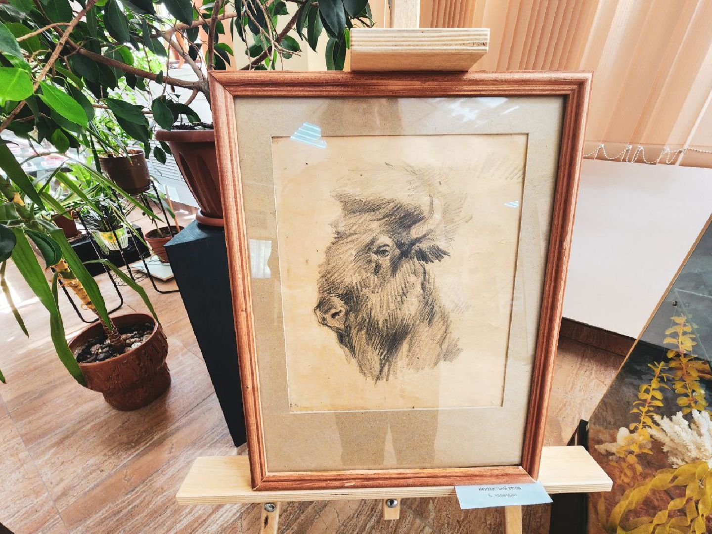 Пущино, серпухов, культура, экология,