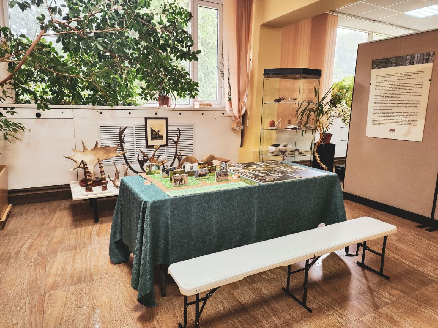 Пущино, серпухов, культура, экология,