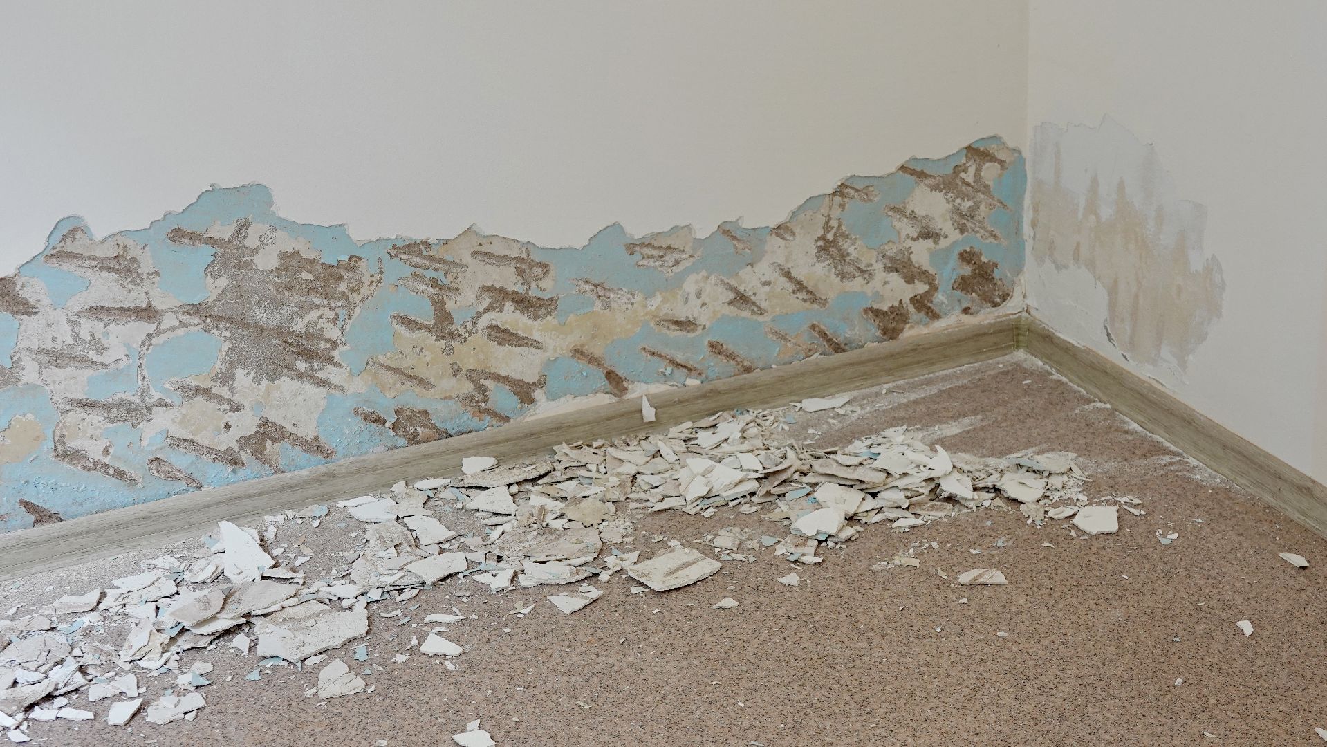 сергиево-посадский городской округ, медицина, здравоохранение, ремонт амбулатории,