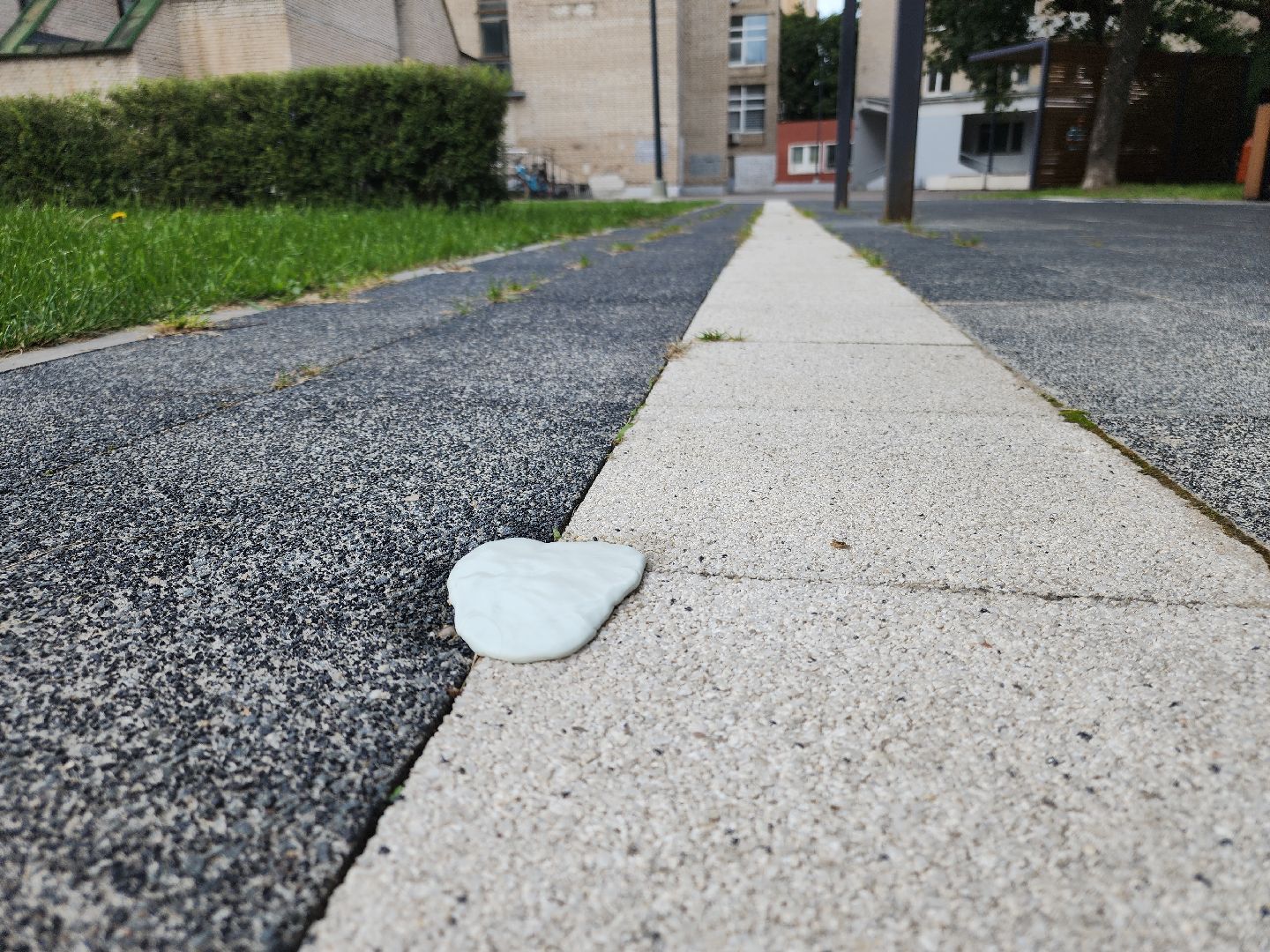 Черноголовка, Экскурсия, Тактильный мастер-класс,