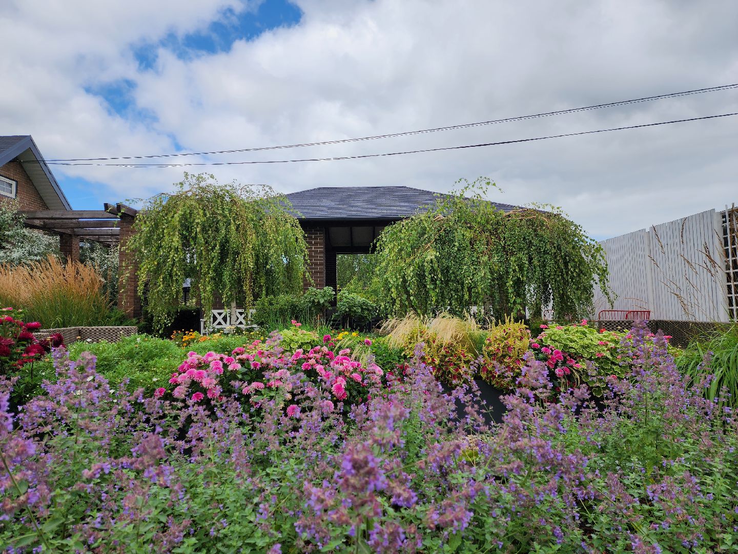 люберцы, сельское хозяйство, вторая международная выставка ассоциации производителей посадочного материала,