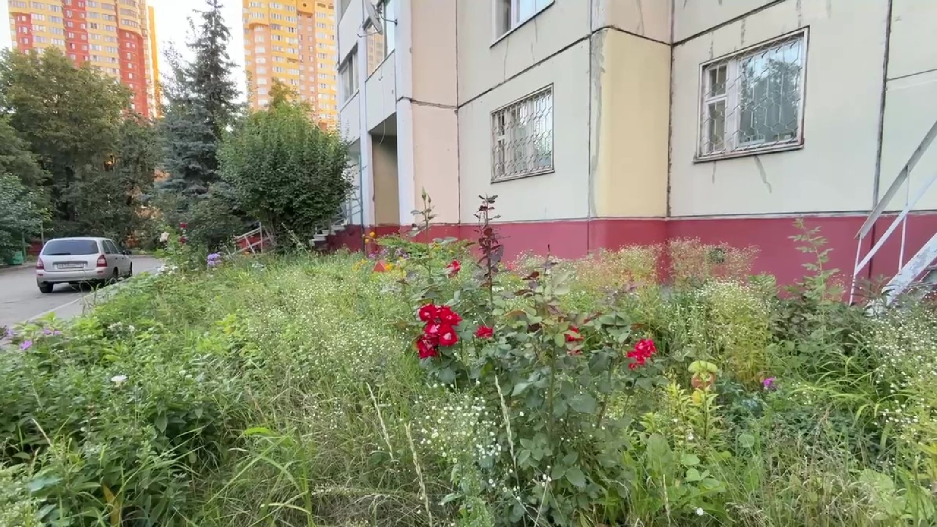 Реутов, клумба, красивый двор, благоустройство,