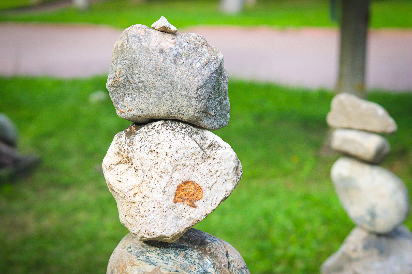 клин, золото, общество, волонтеры, туризм, подмосковье,