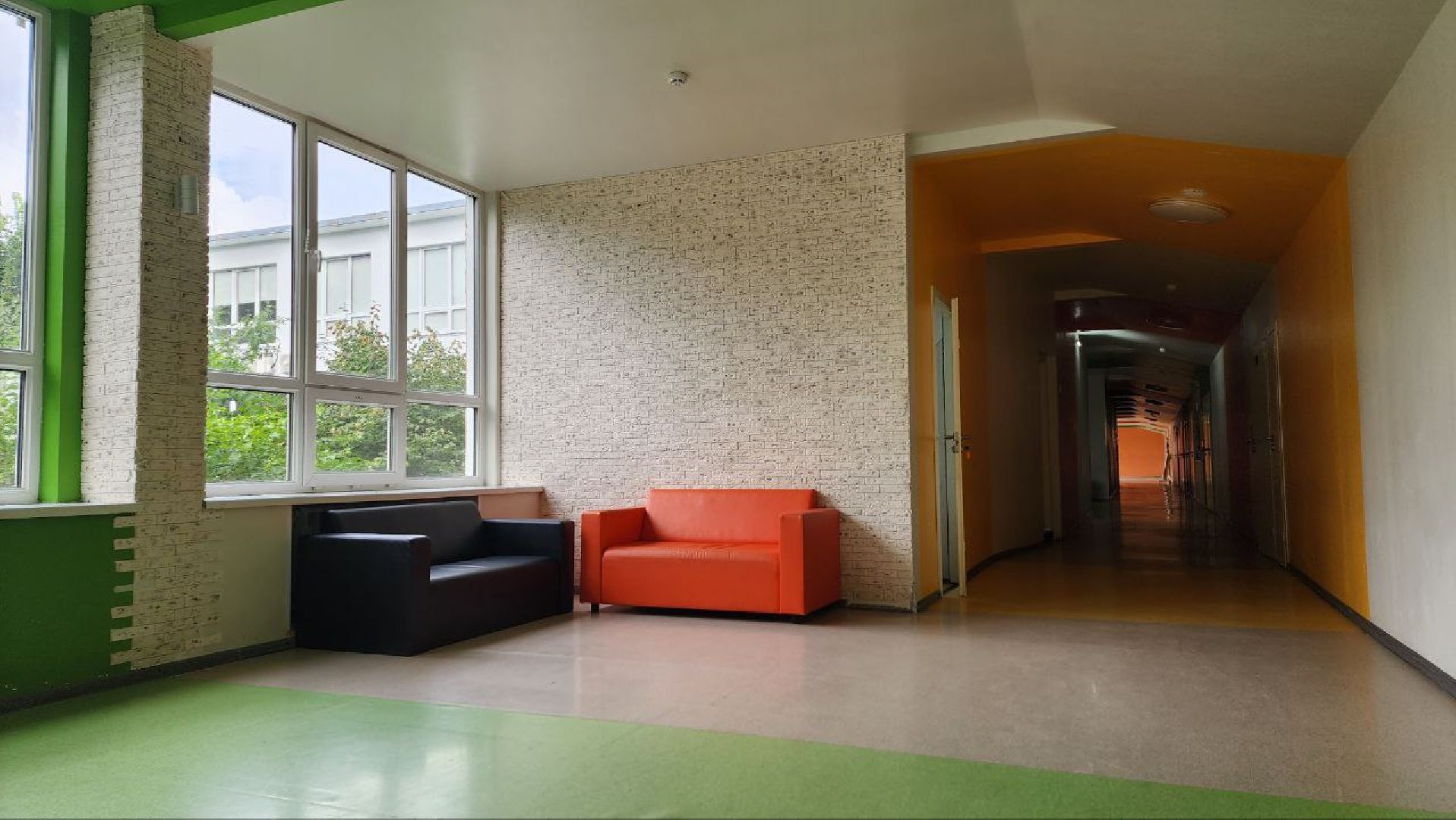 Дмитров, Гимназия Дмитров, Ремонт школ, Минобразования,