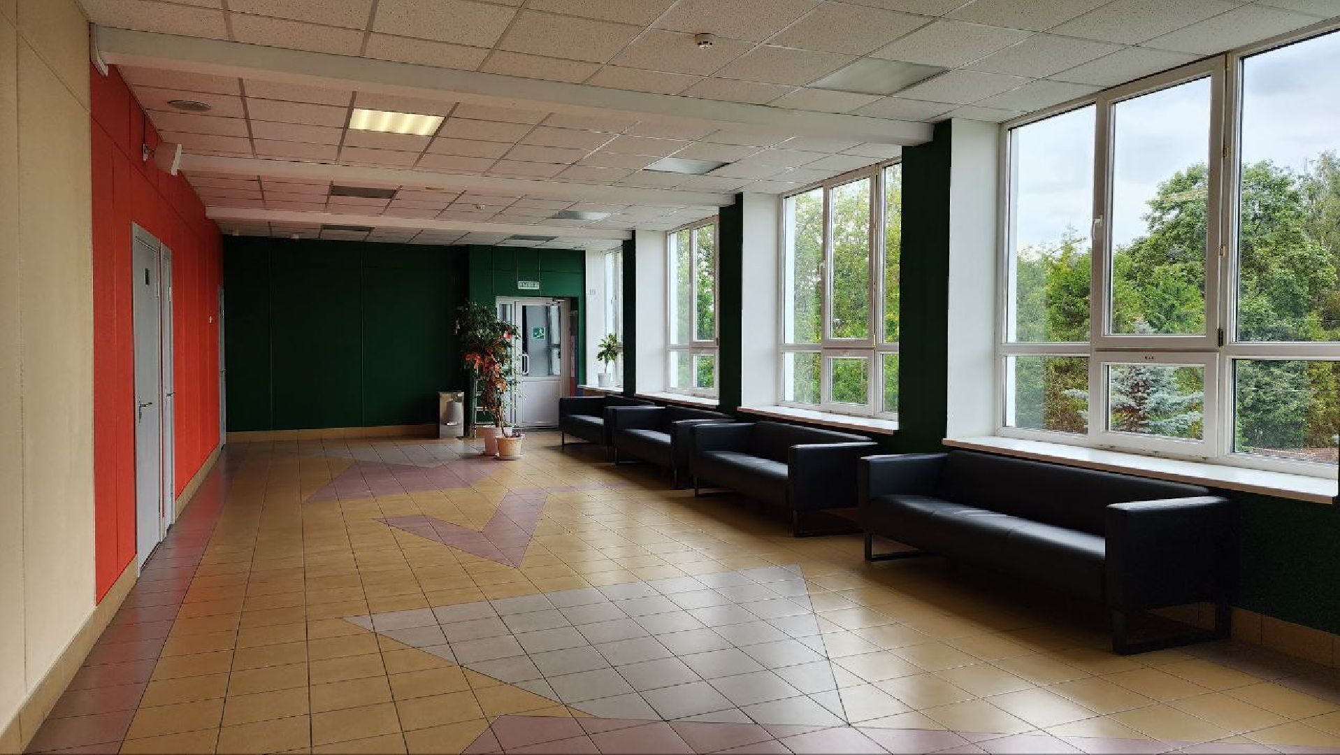 Дмитров, Гимназия Дмитров, Ремонт школ, Минобразования,