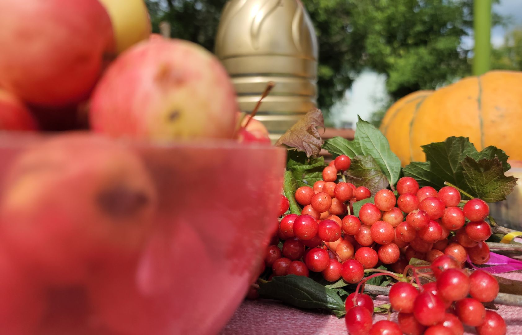 фестиваль огородников, активное долголетие, орехово-зуево, демихово,