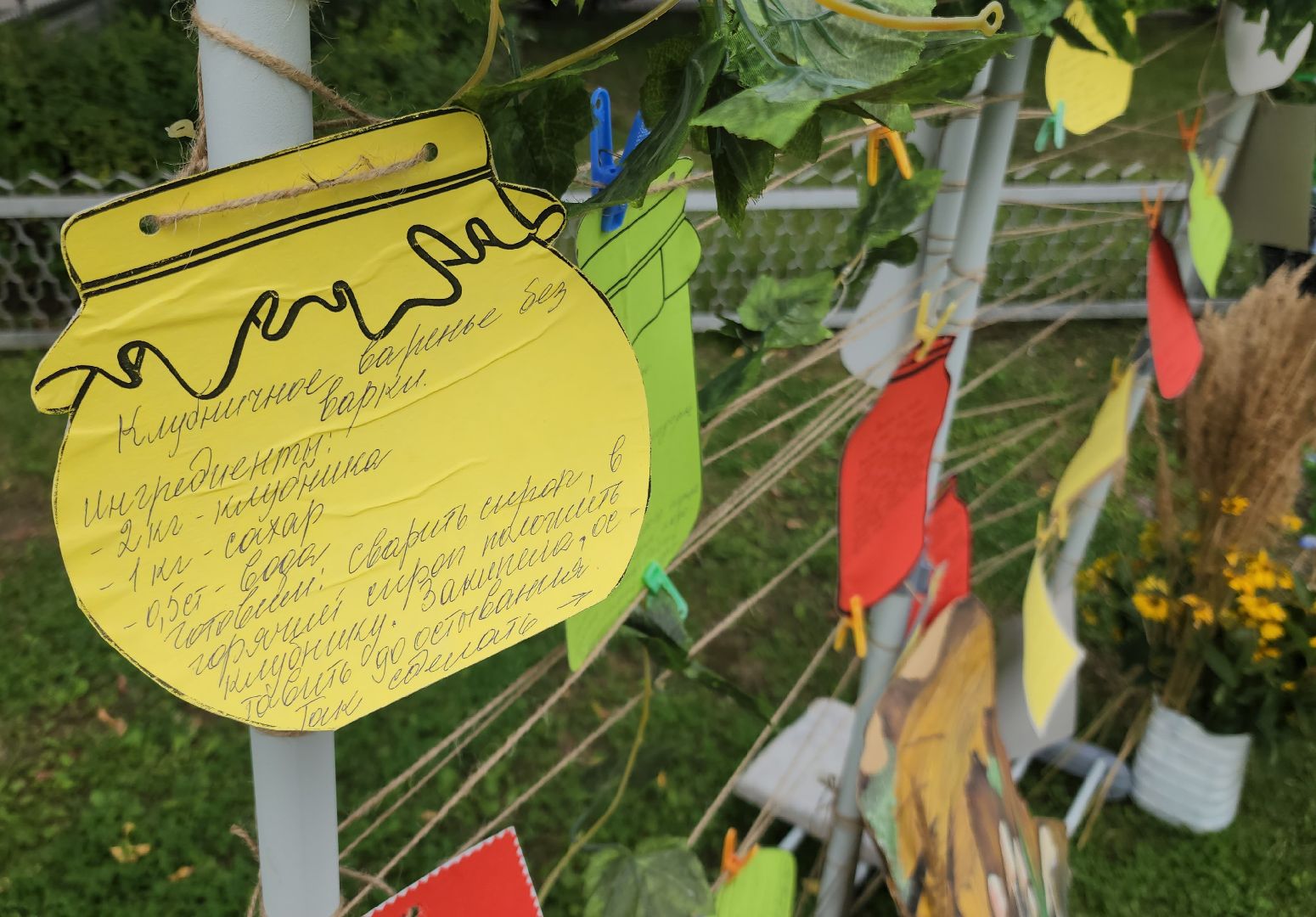 фестиваль огородников, активное долголетие, орехово-зуево, демихово,