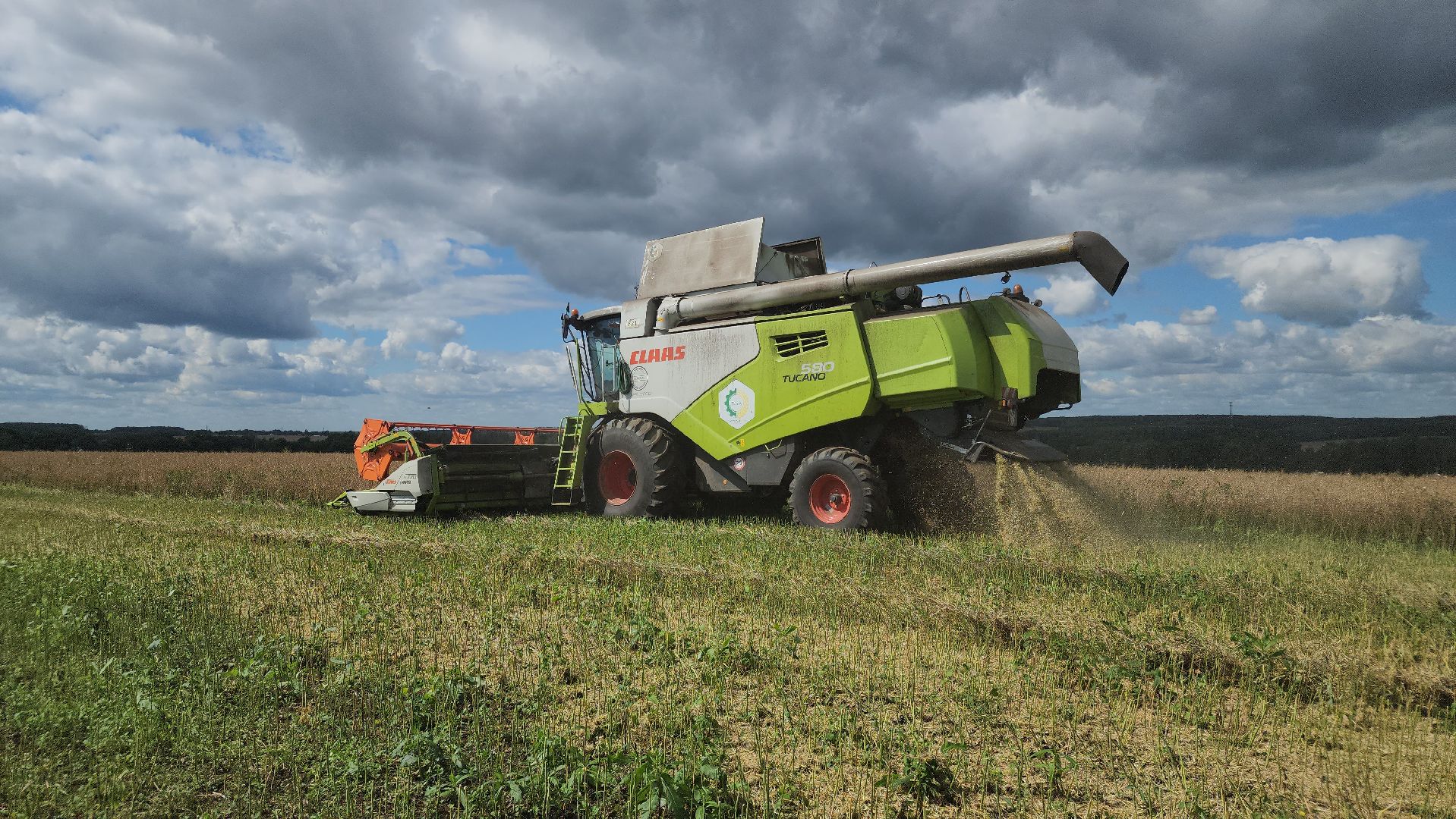 Зарайск, Сельское хозяйство, Уборочная кампания, Туламашагро, Уборка рапса в Зарайске,