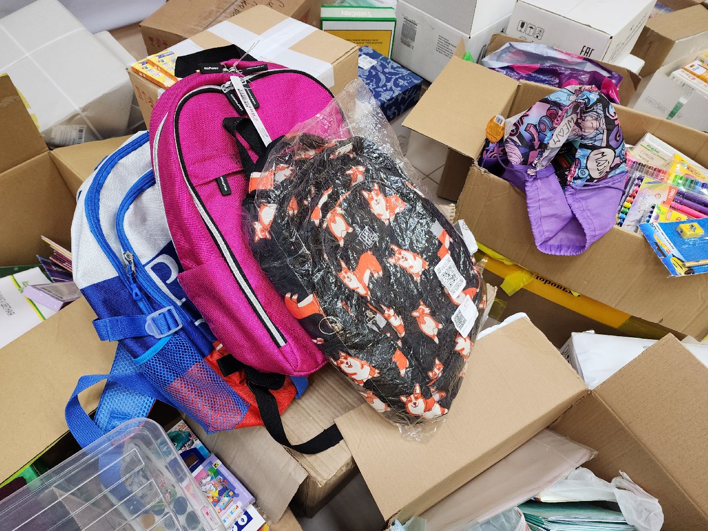 солнечногорск, школа, помощь, жители ,