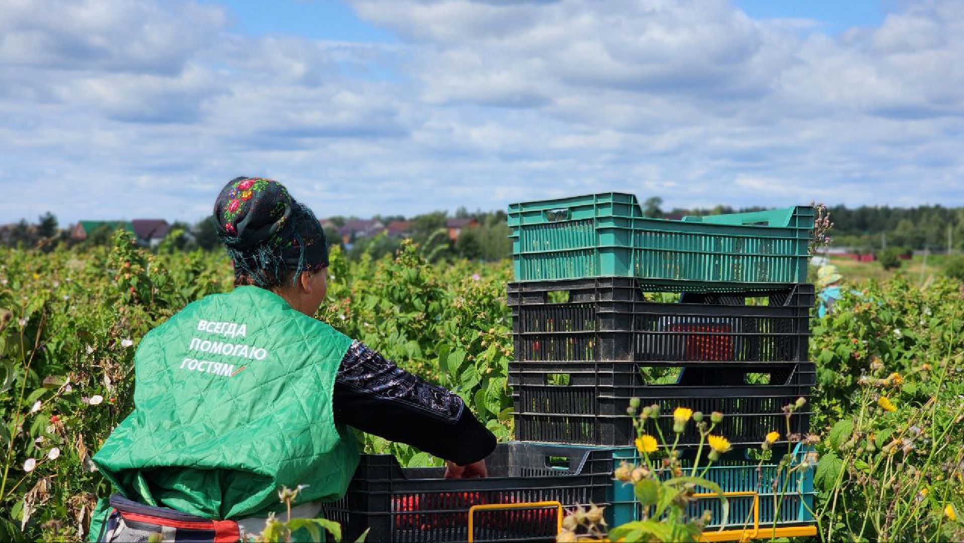 луховицы, сельскоехозяйствоподмосковья,