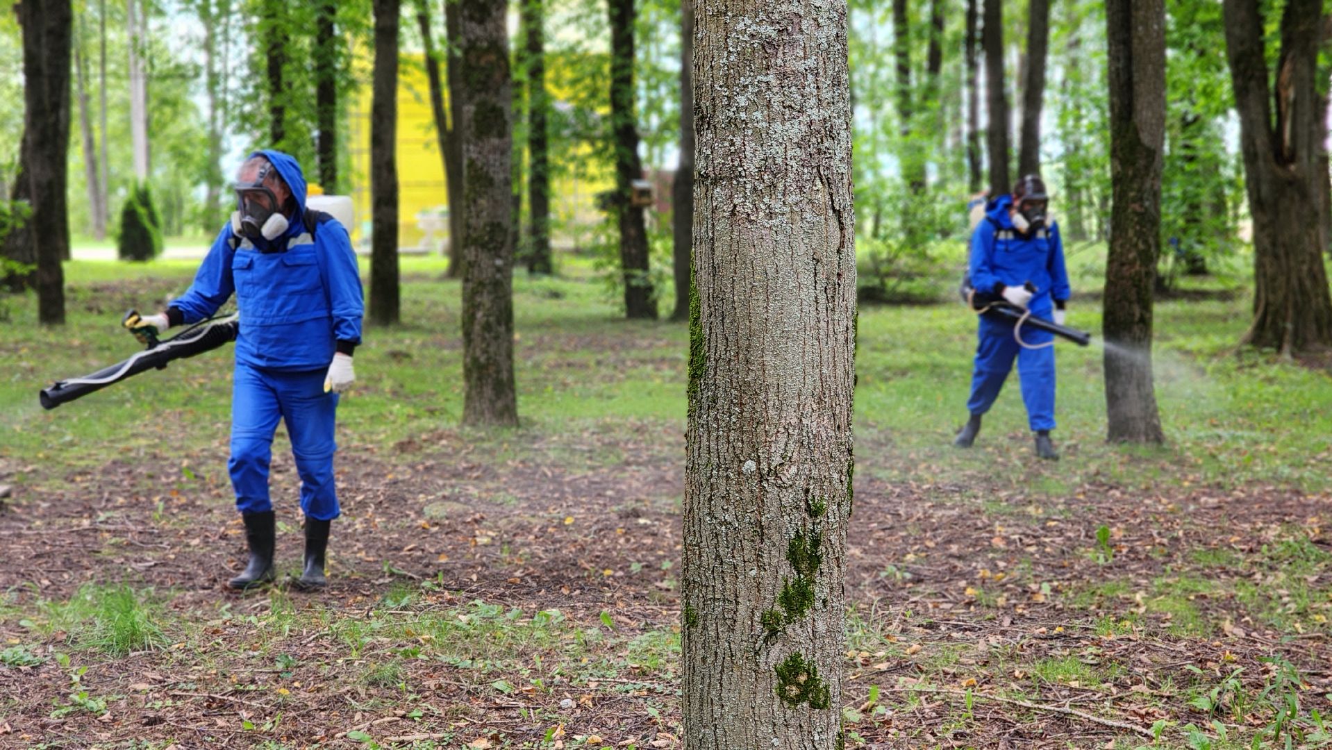 волоколамск, городской парк, акарицидная обработка,