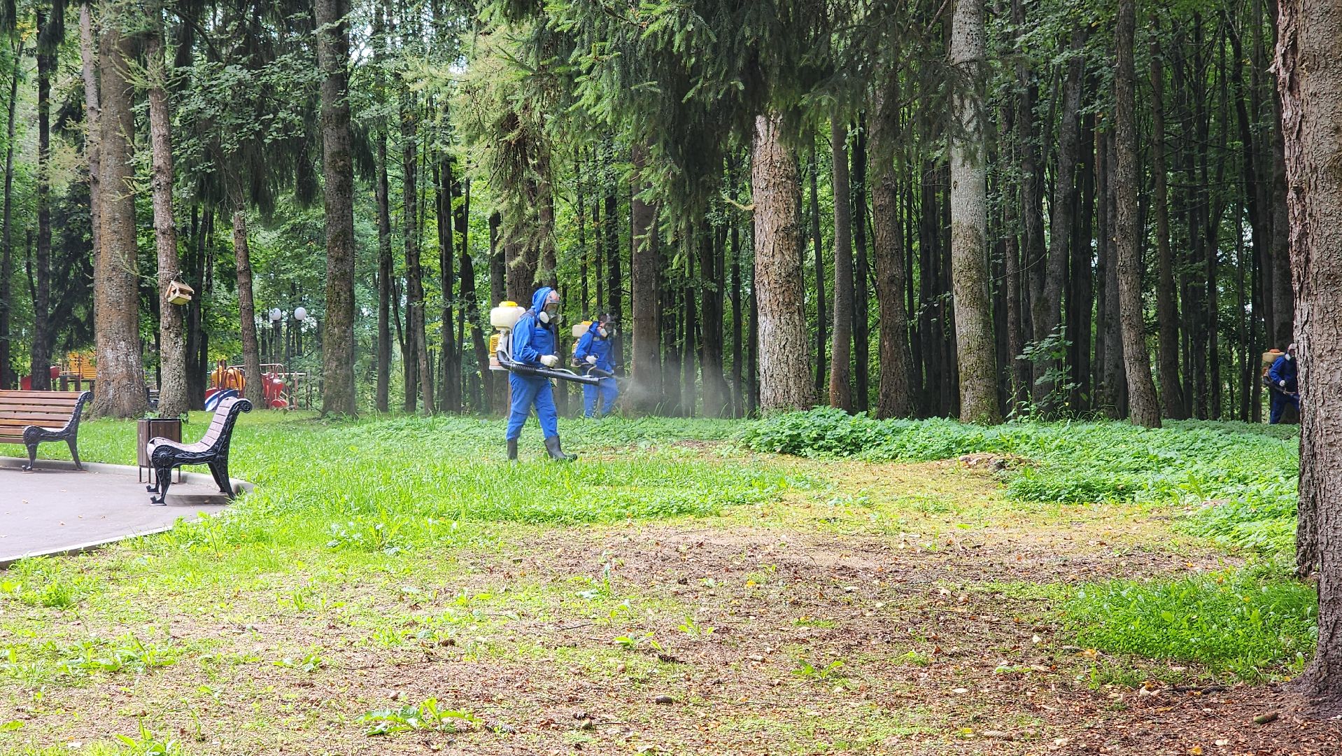 волоколамск, городской парк, акарицидная обработка,