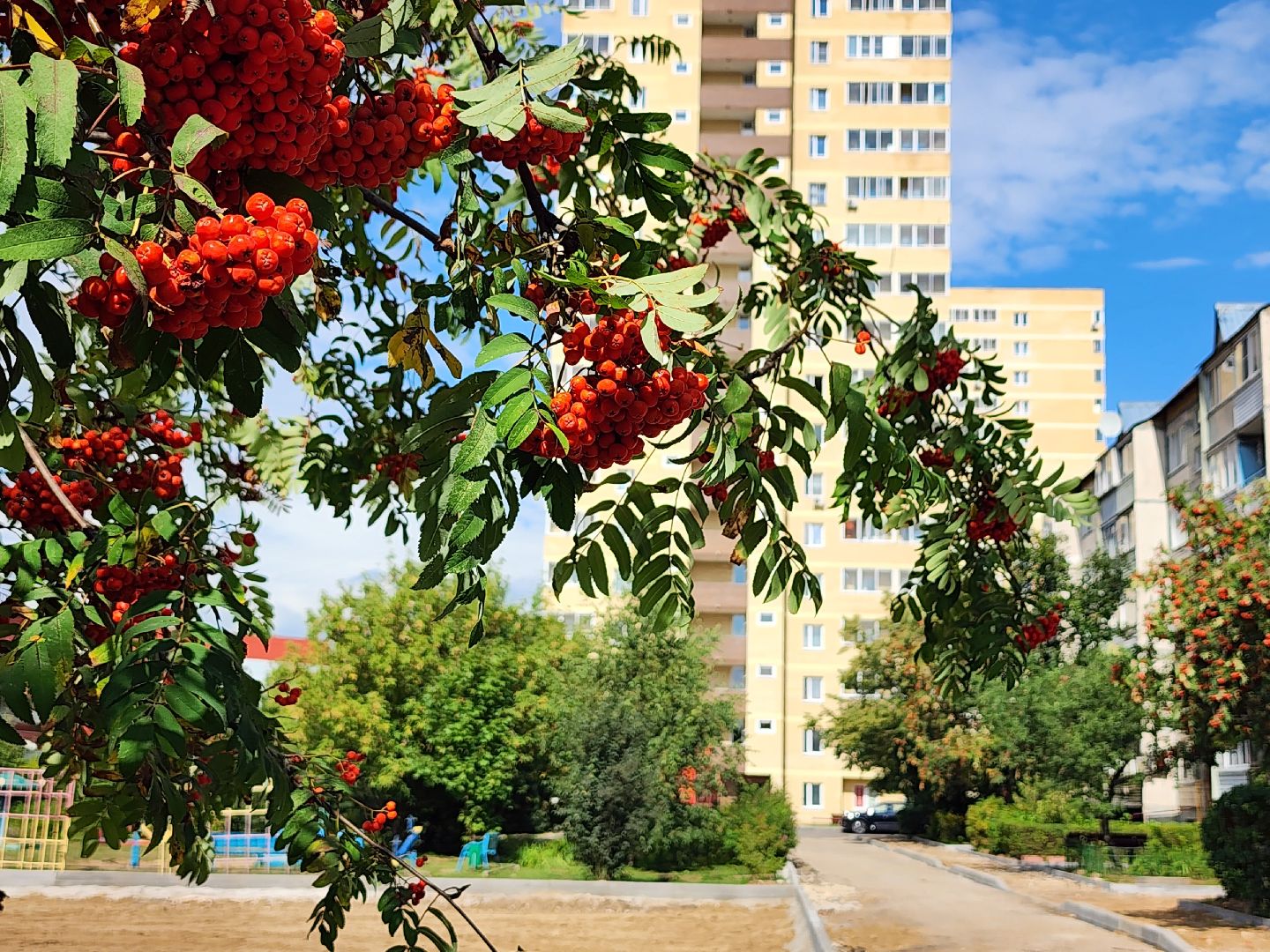 благоустройство, комплексное благоустройство дворов, комортная городская среда, старая купавна, богородский городской округ,