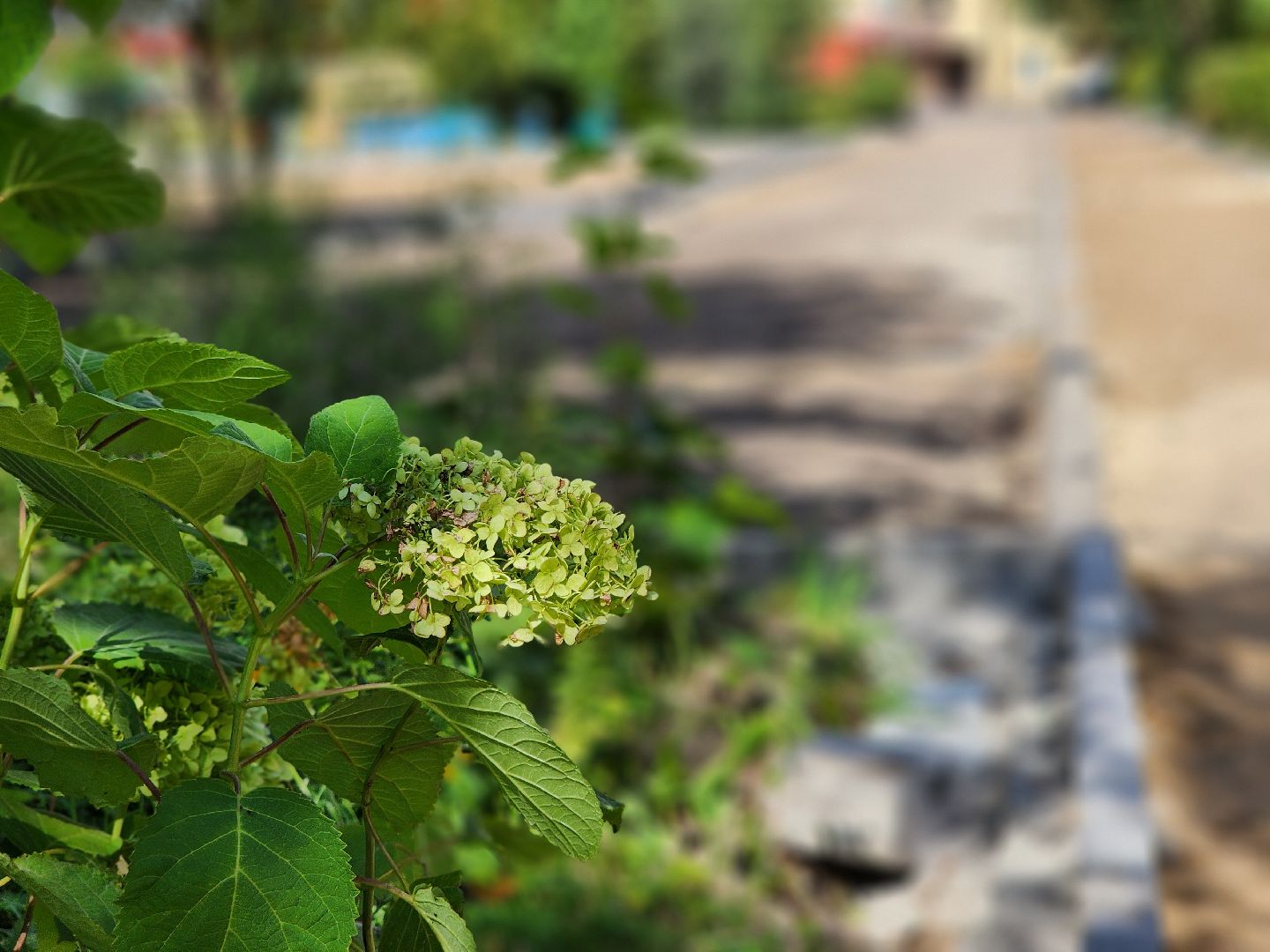 благоустройство, комплексное благоустройство дворов, комортная городская среда, старая купавна, богородский городской округ,