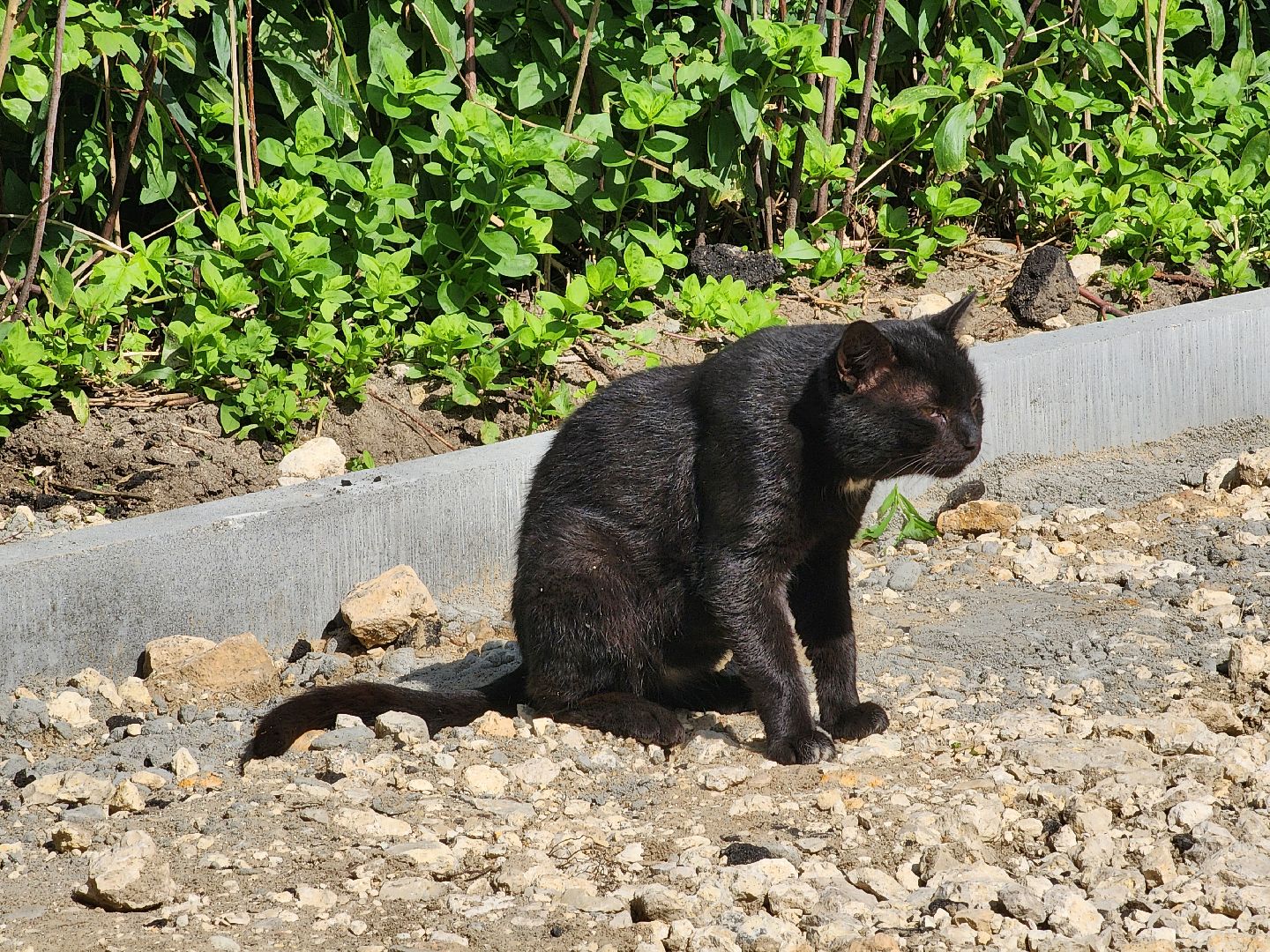 благоустройство, комплексное благоустройство дворов, комортная городская среда, старая купавна, богородский городской округ,