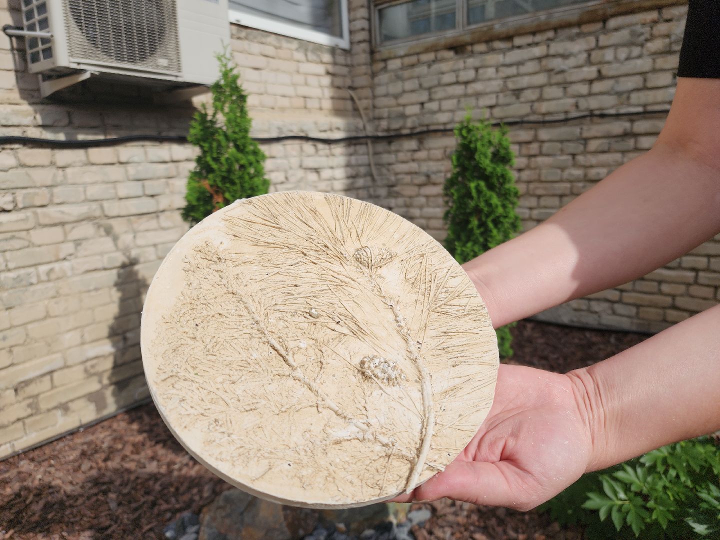 Черноголовка, ботанический барельеф, Мастер-класс,