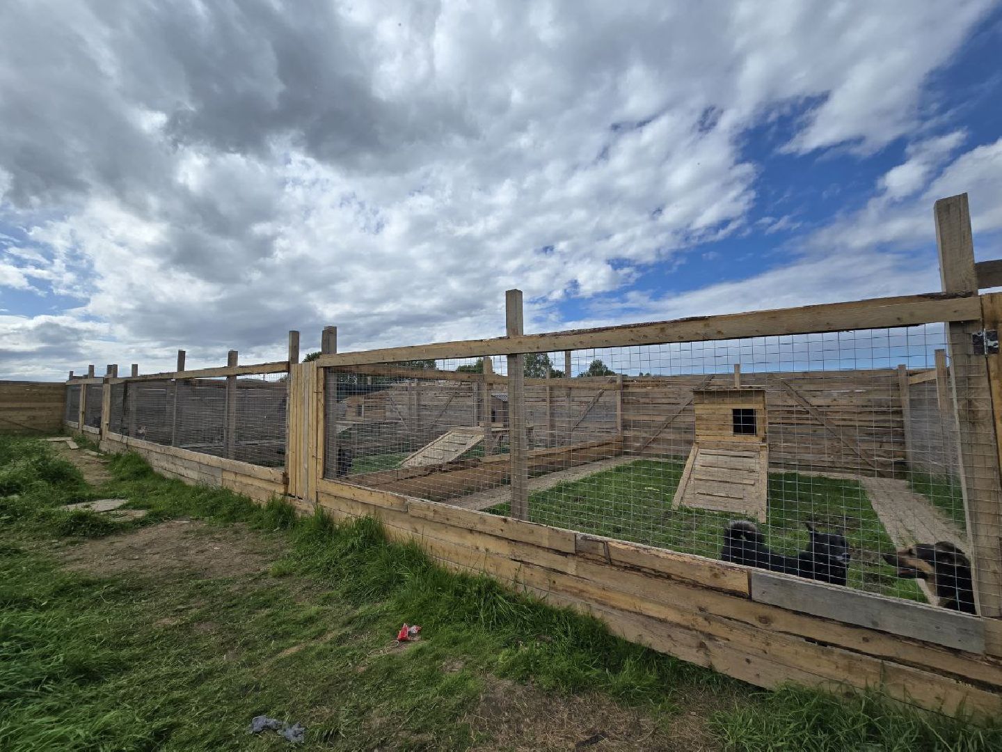 можайск, можайский муниципальный округ, подмосковье,  можайский приют бездомных животных, собаки, общество, помощь приюту,