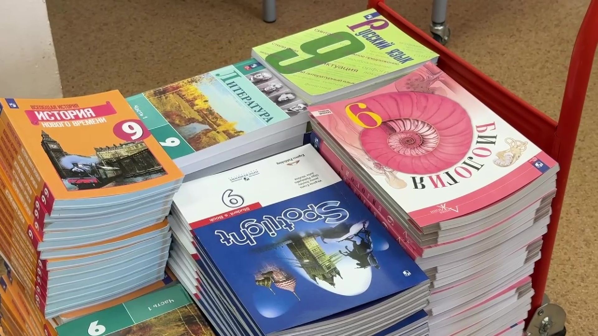 Реутов, образование, школа, день знание, ремонт, учебники, спортзал,