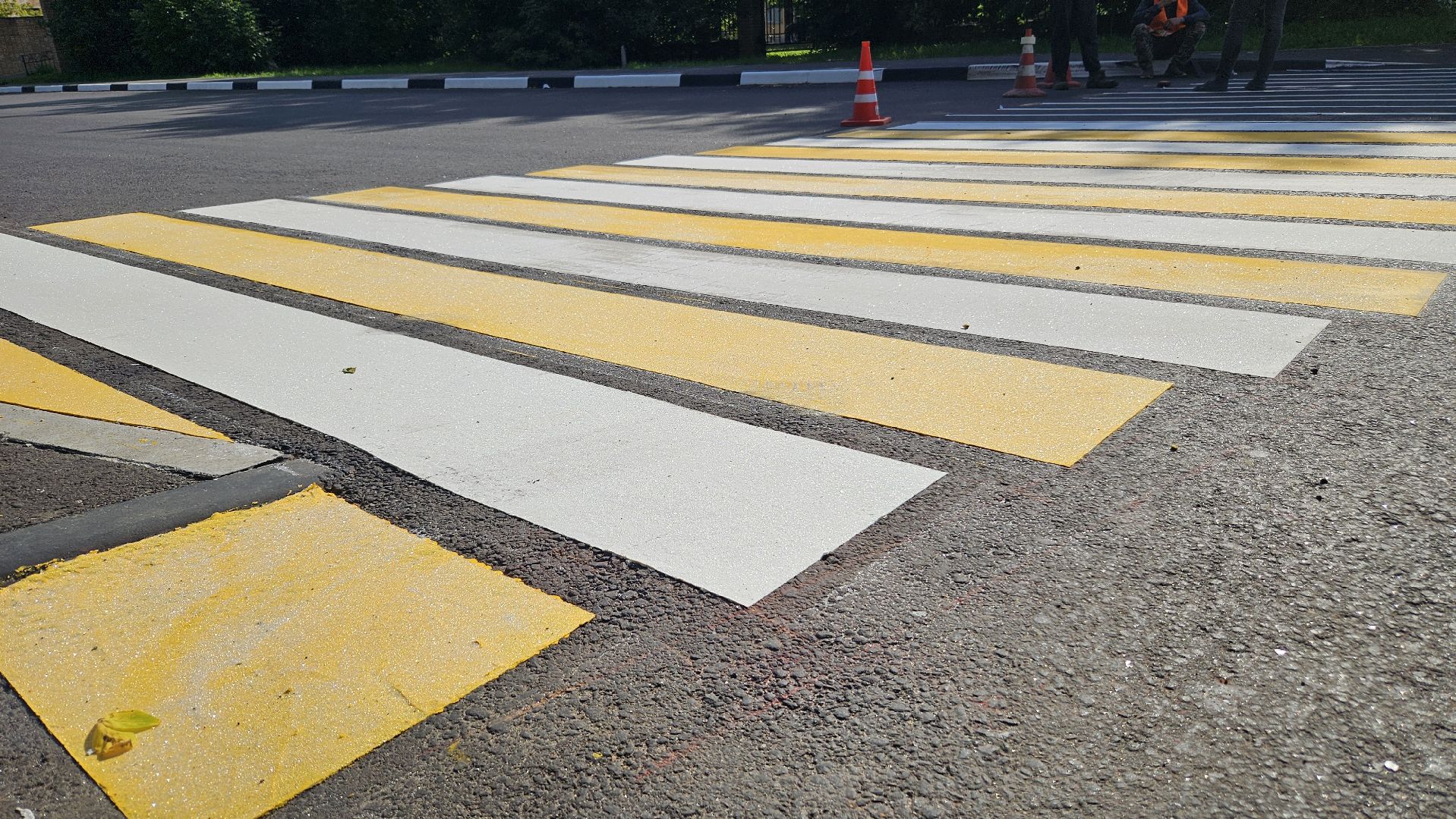 зебра, дорога, жуковский,