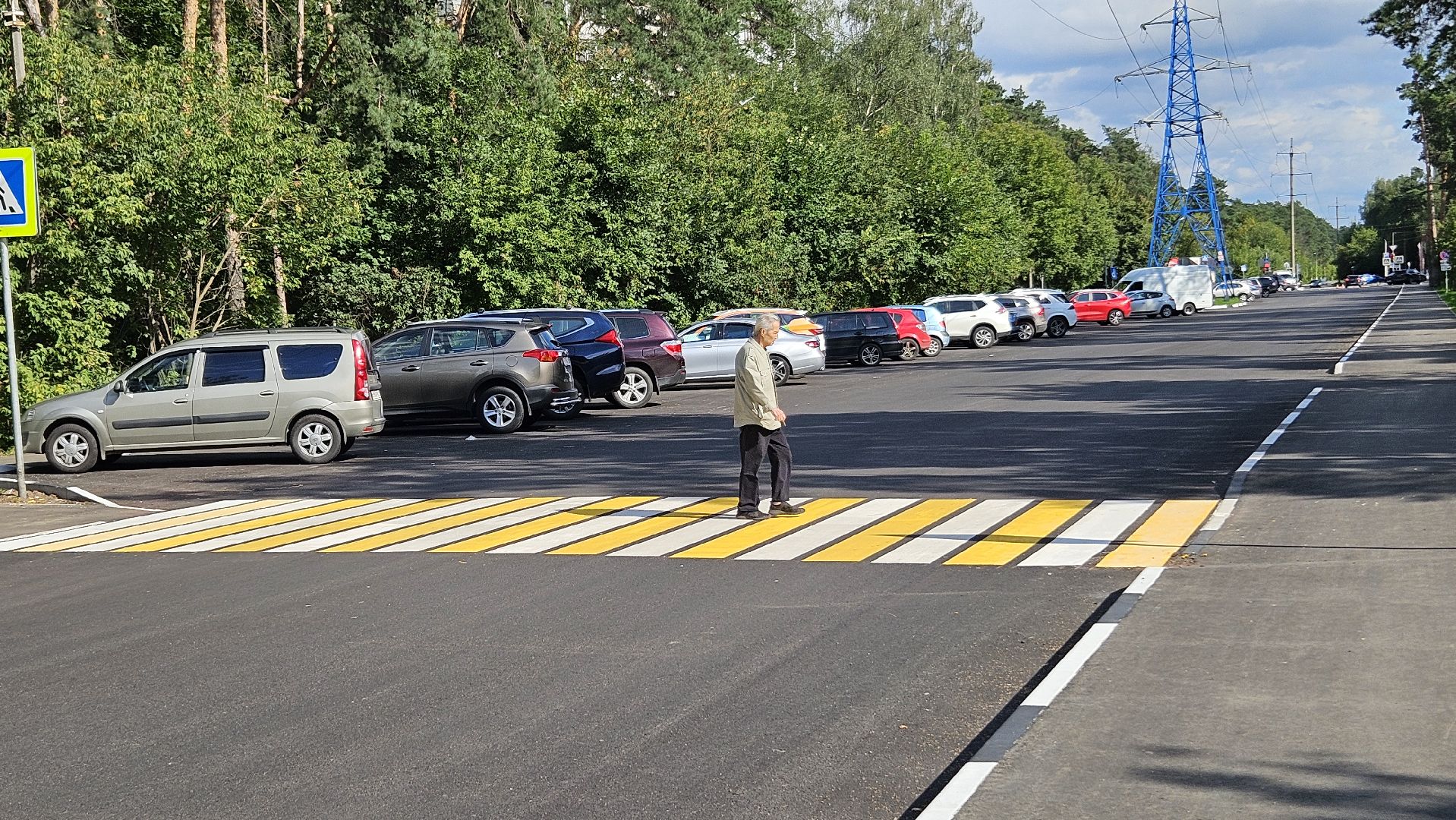 зебра, дорога, жуковский,