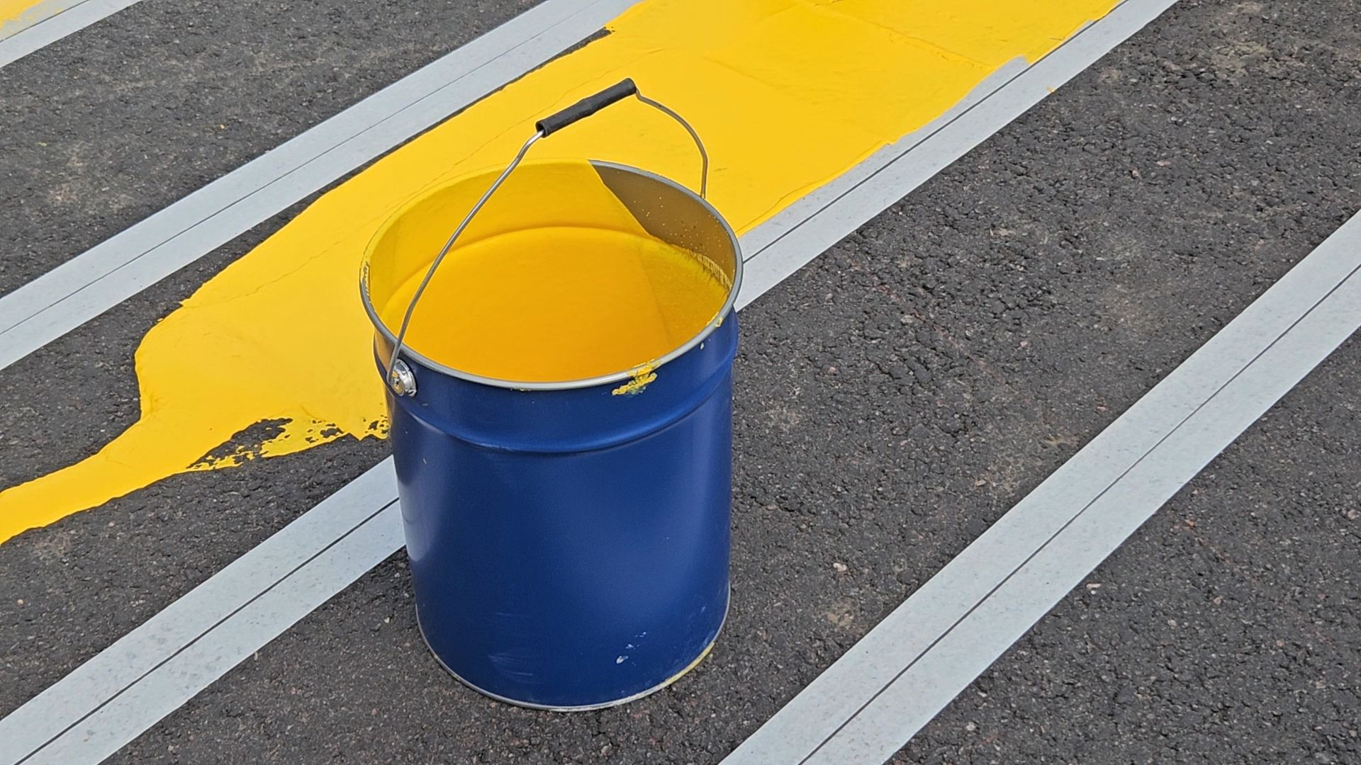 зебра, дорога, жуковский,