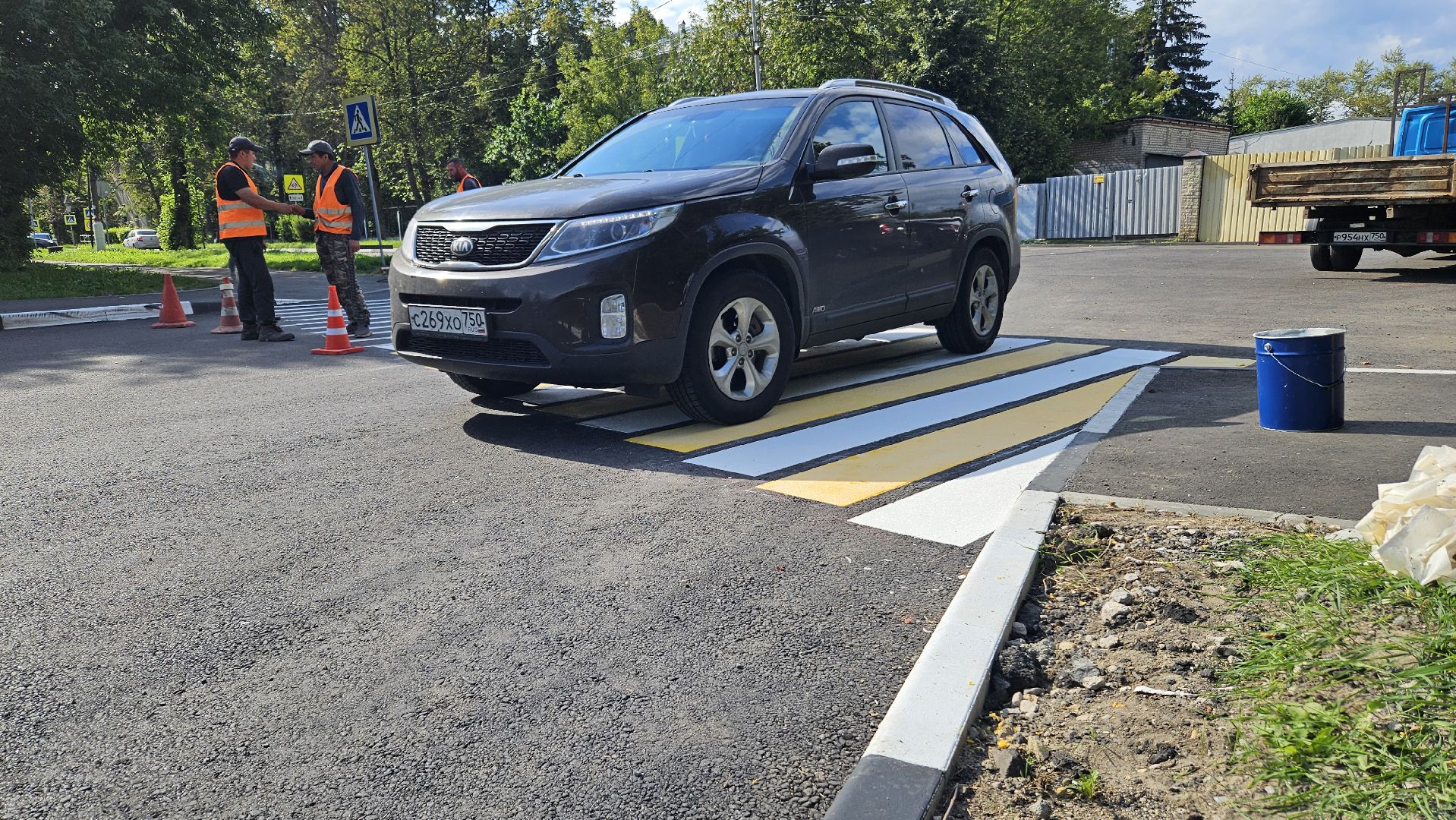 зебра, дорога, жуковский,