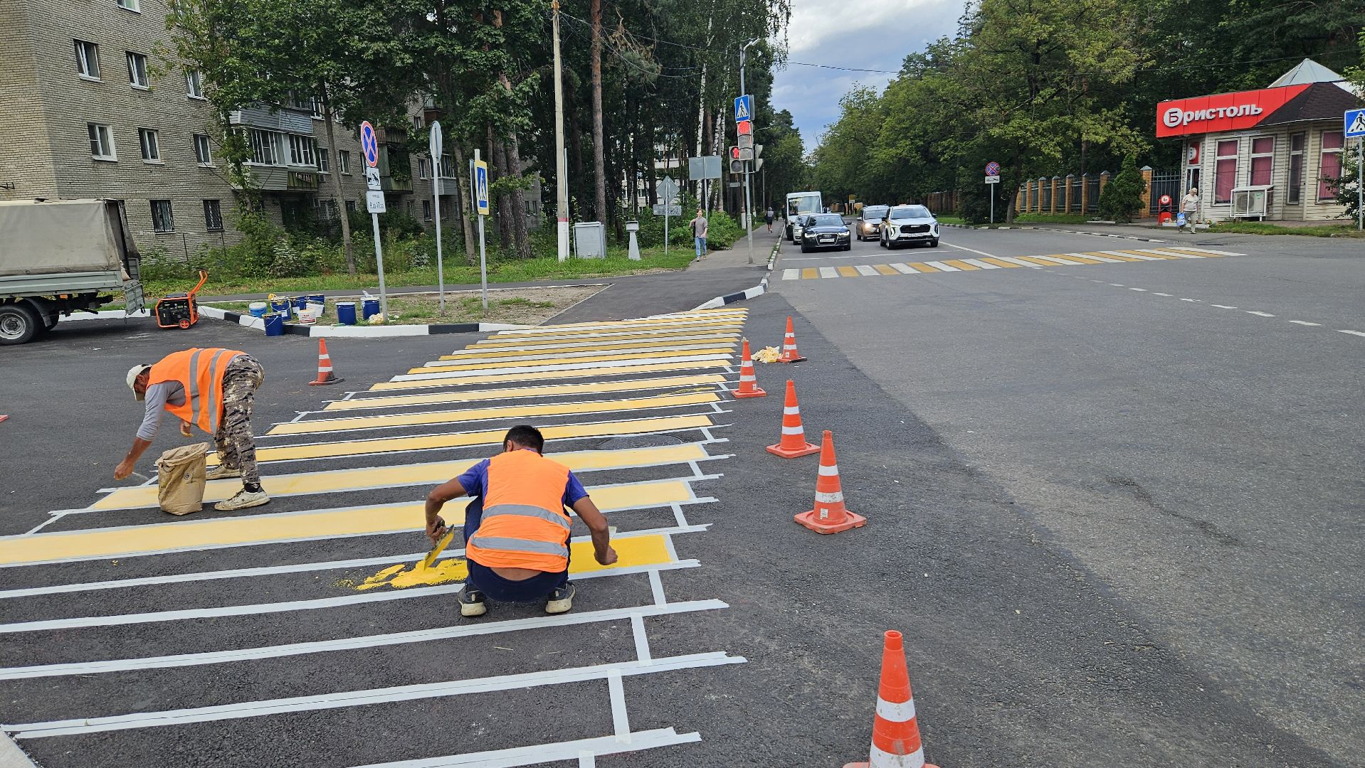зебра, дорога, жуковский,