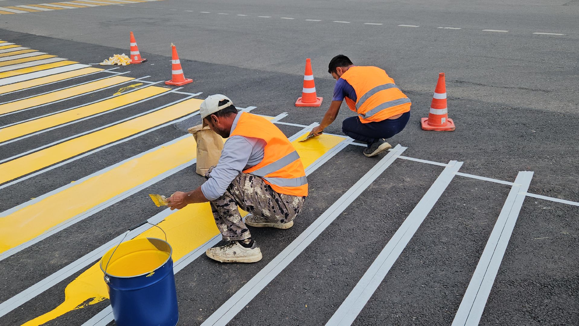 зебра, дорога, жуковский,