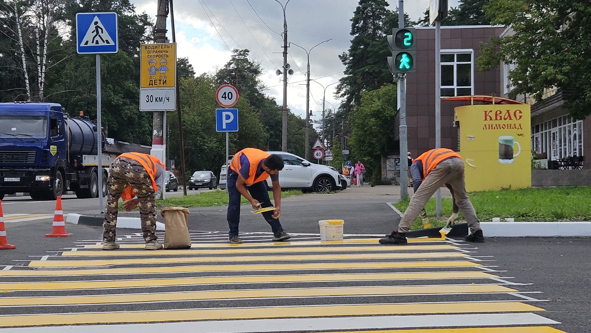 зебра, дорога, жуковский,