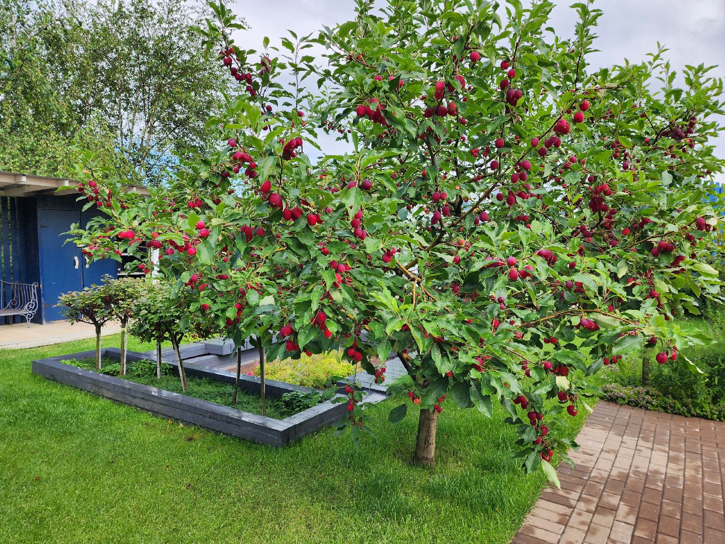 люберцы, сельское хозяйство, питомник агрофирмы поиск,