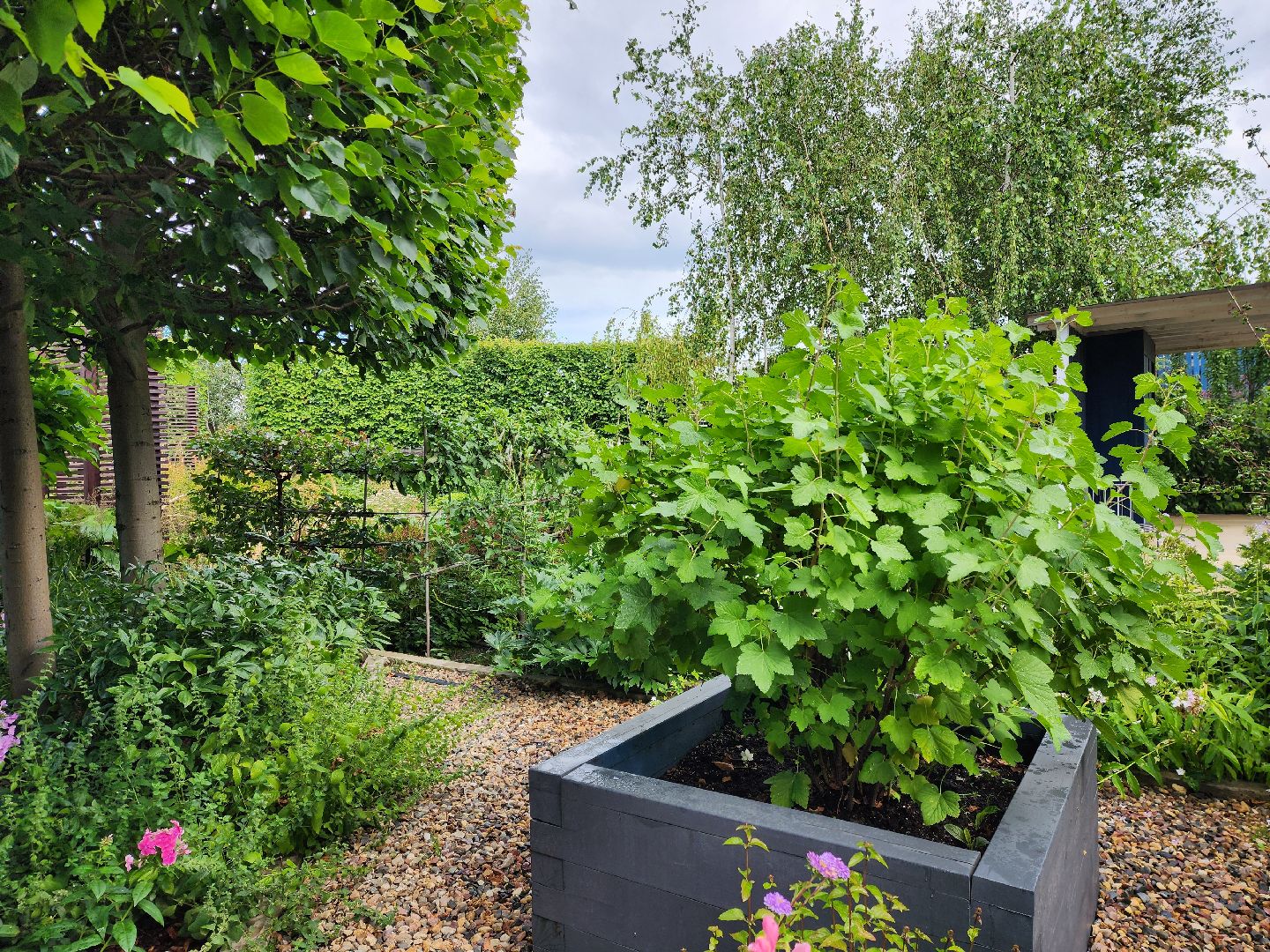 люберцы, сельское хозяйство, питомник агрофирмы поиск,