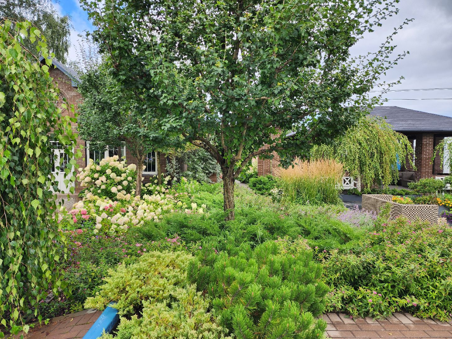 люберцы, сельское хозяйство, питомник агрофирмы поиск,