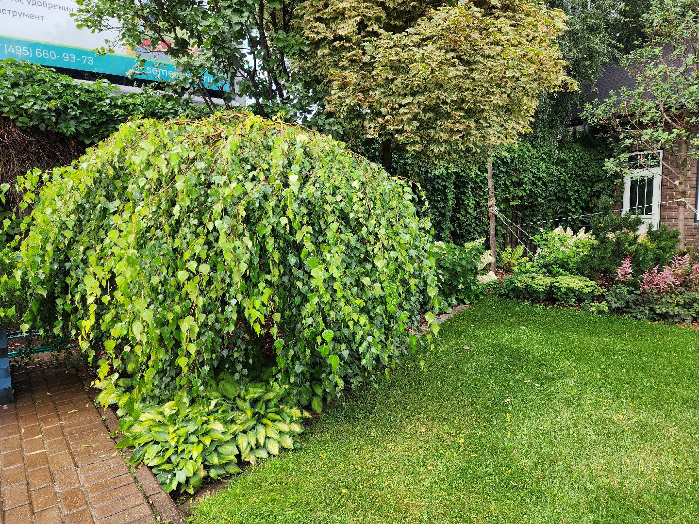 люберцы, сельское хозяйство, питомник агрофирмы поиск,