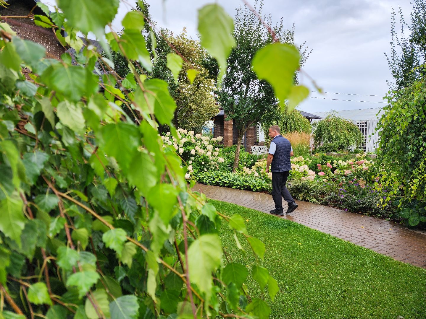 люберцы, сельское хозяйство, питомник агрофирмы поиск,