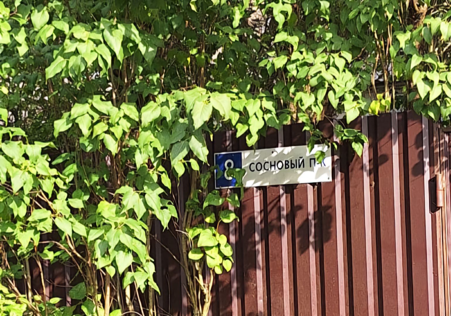 красноармейск, городской округ пушкинский, ремонт дороги, обращение жителей,