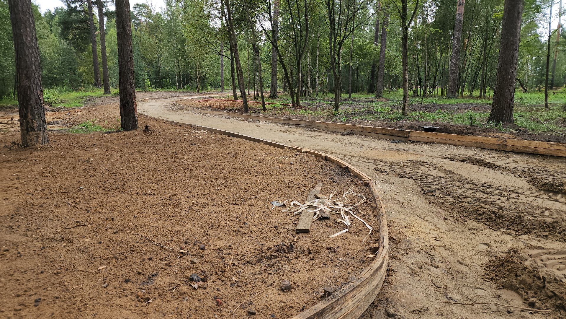парки в лесу, орехово-зуево, парковский лес,