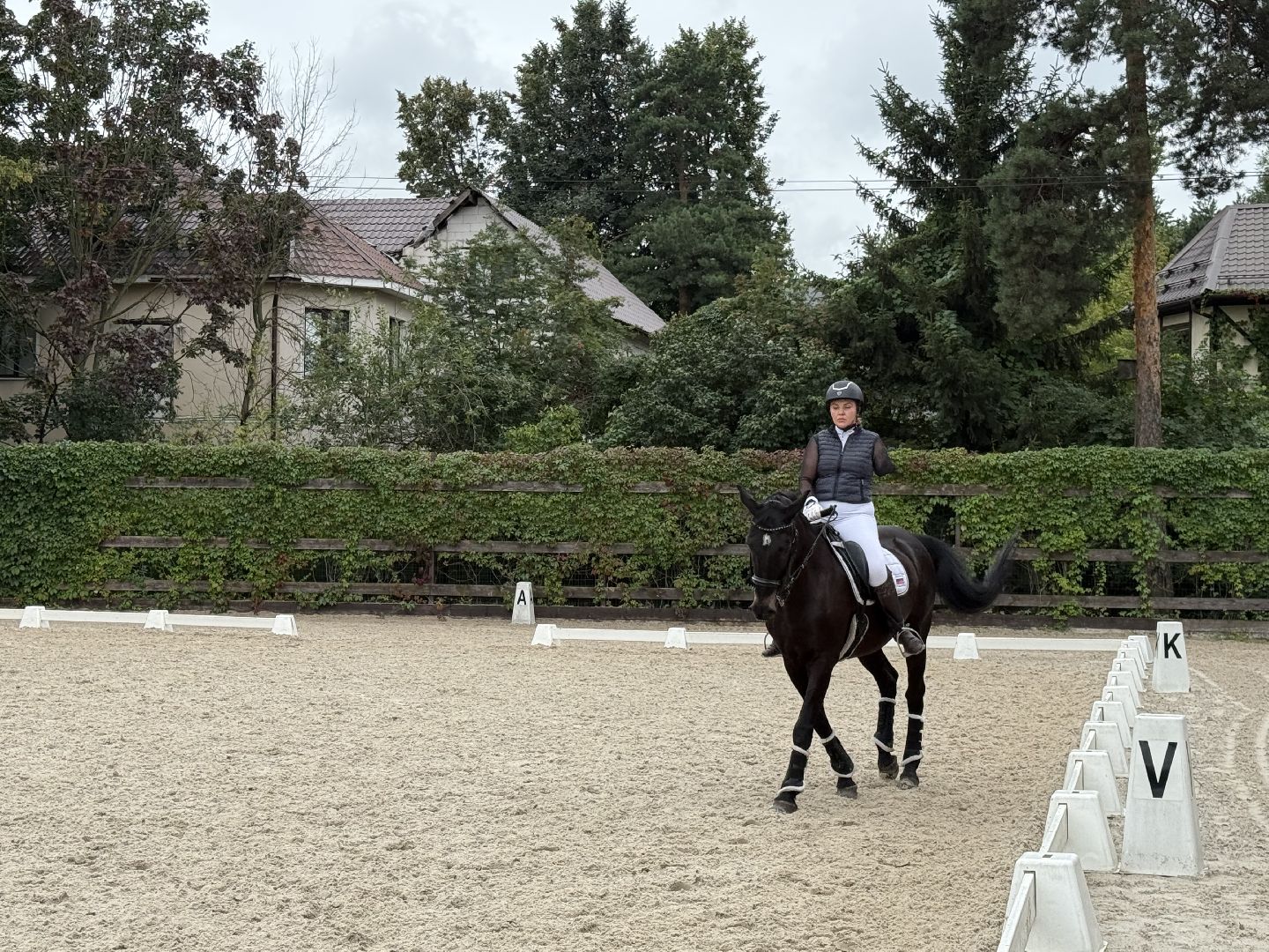 котельники, конный спорт, соревнования, параолимпийцы,