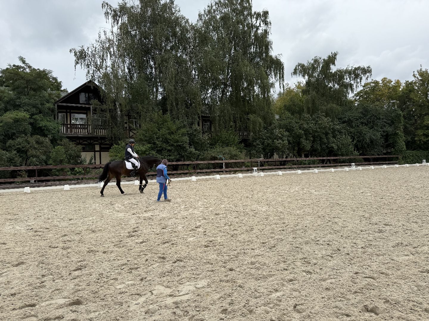 котельники, конный спорт, соревнования, параолимпийцы,