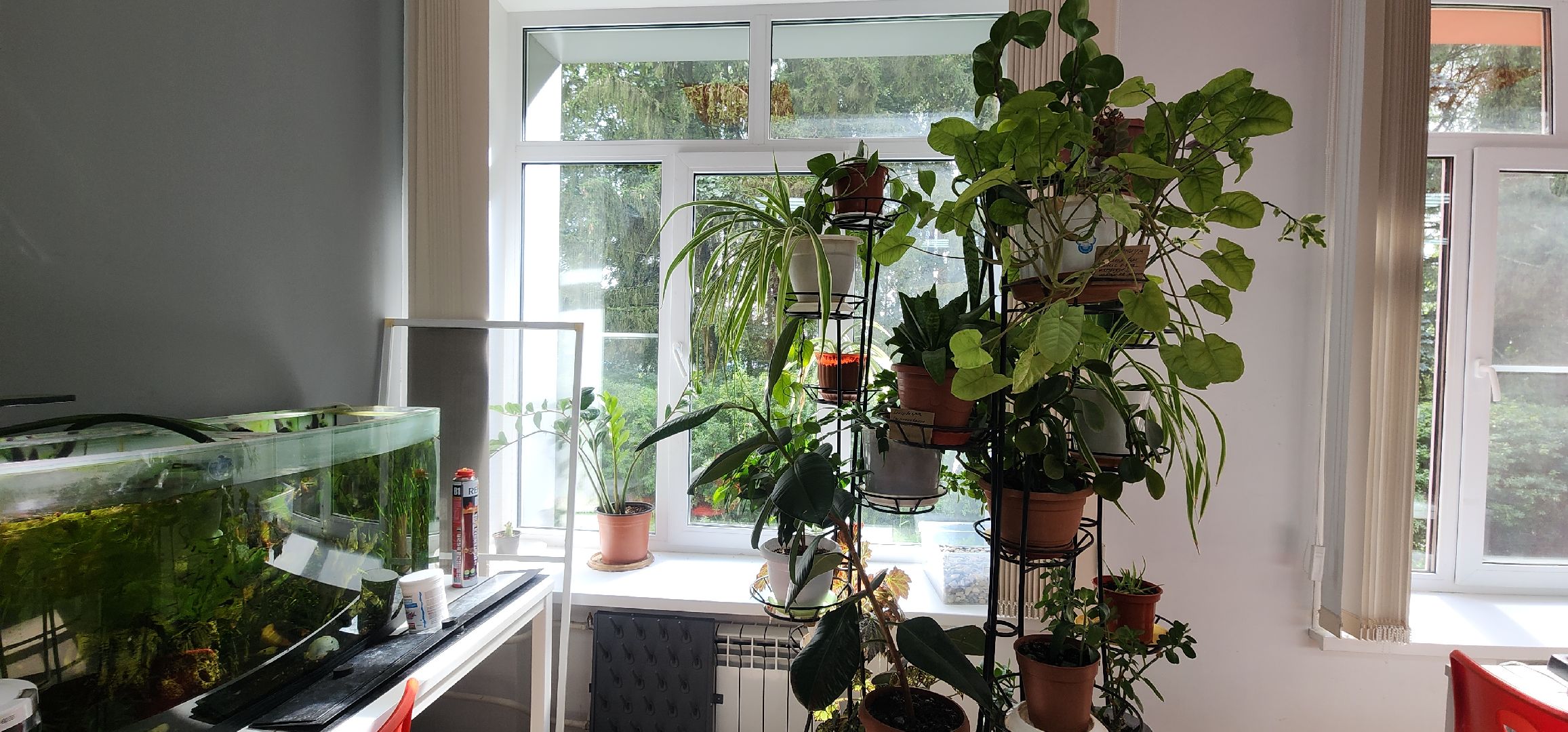 Благоустройство , Ремонт школы в Ершове , Образование ,