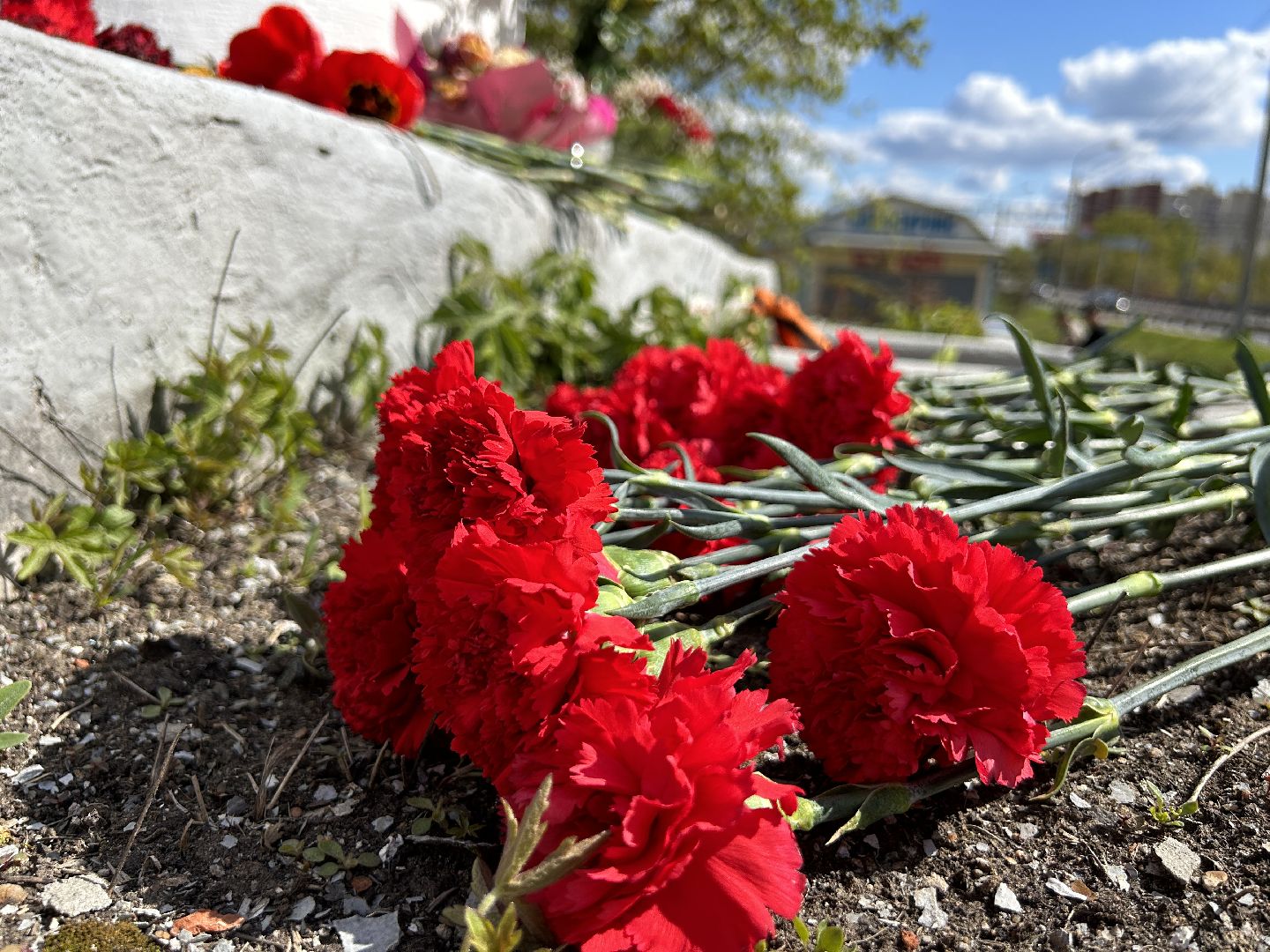 День Победы, возложение цветов