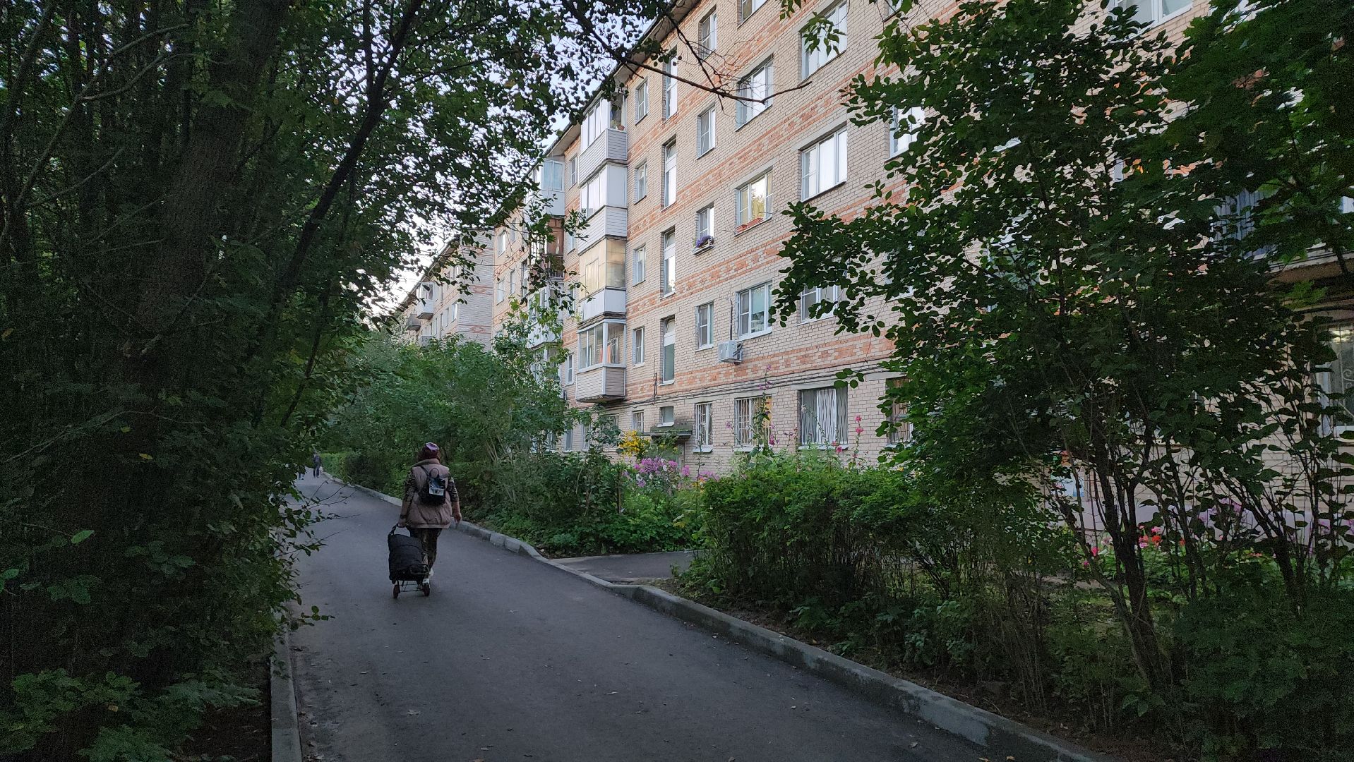 выездная администрация, Лобня, Ремонт крыши,