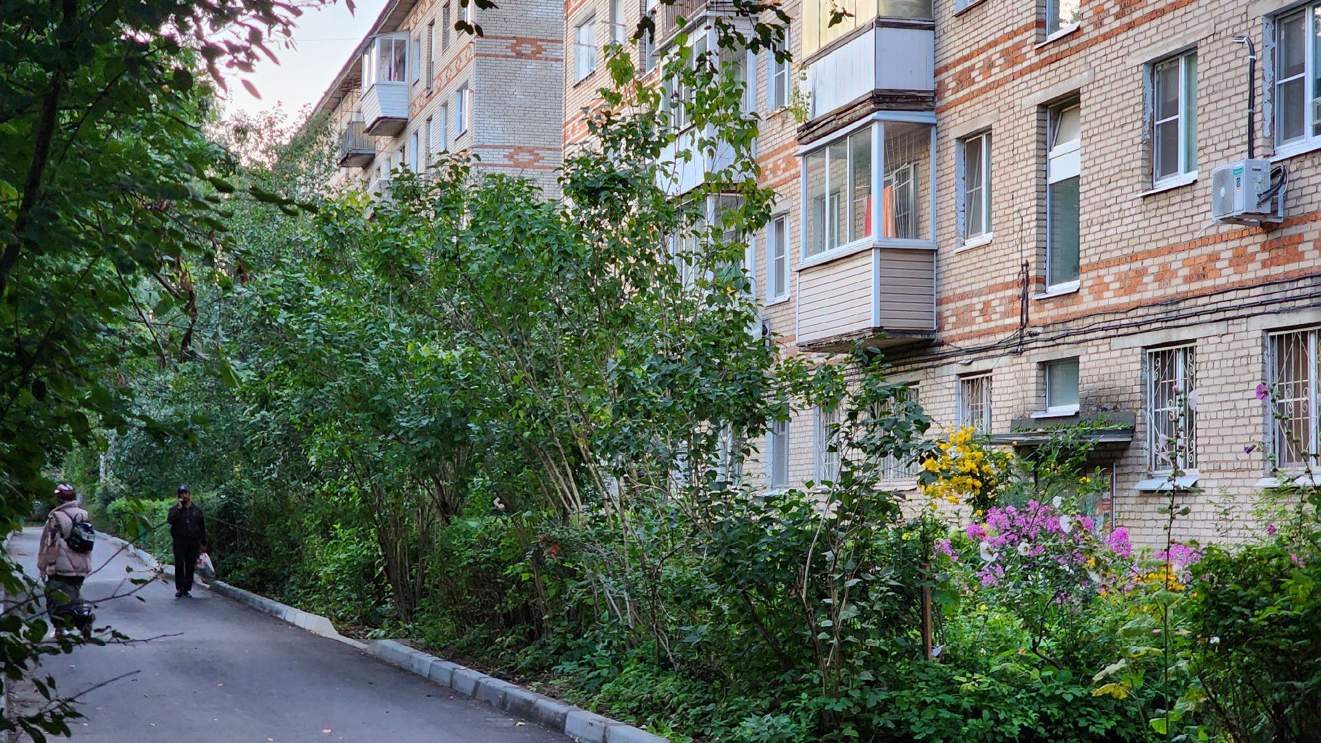 выездная администрация, Лобня, Ремонт крыши,