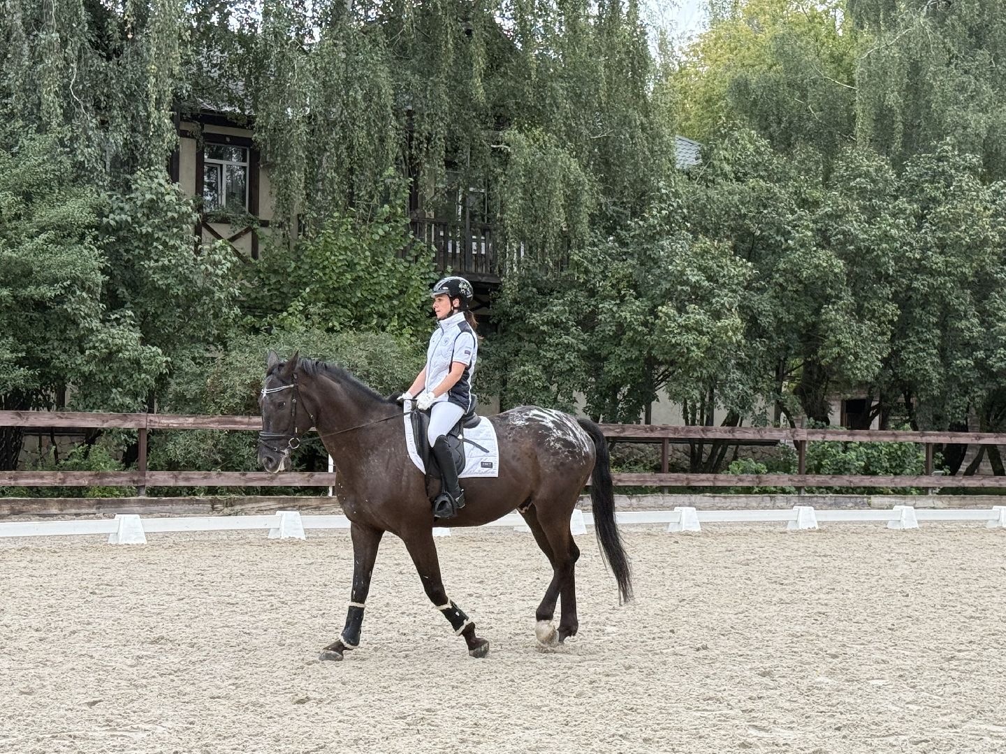 котельники, мастер спорта, конный спорт, спортсмены с ограниченными возможностями, призер,
