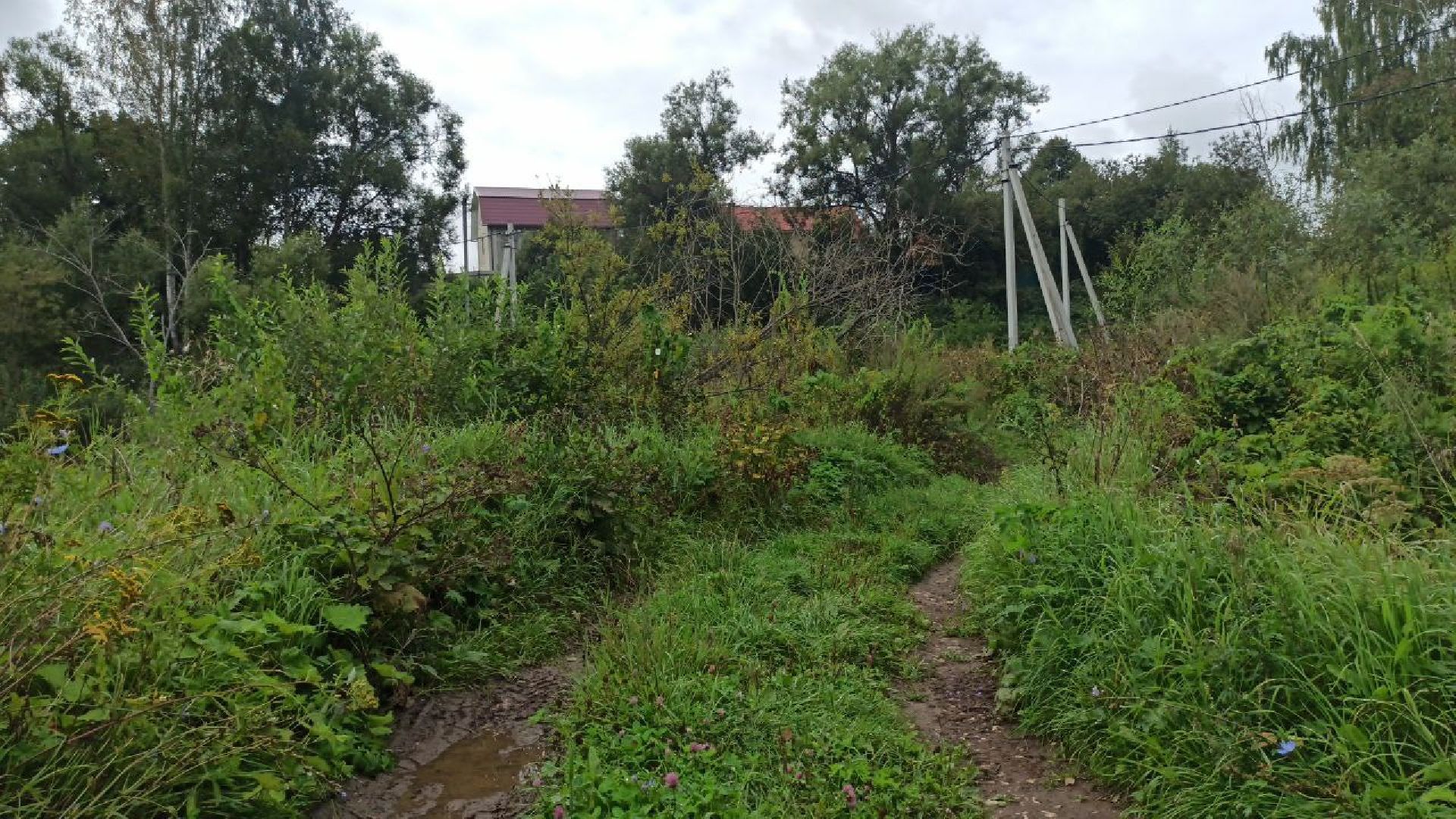 серпухов, деревня жерновка, ремонт колодца в деревне, выездная администрация,